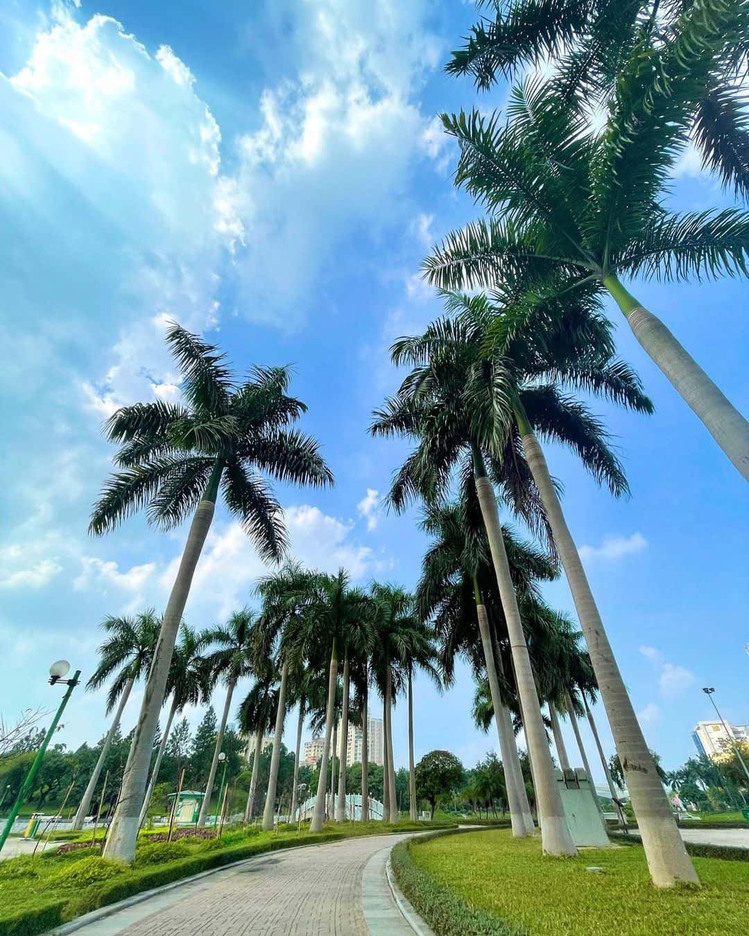 justfly cong vien hoa binh hanoi