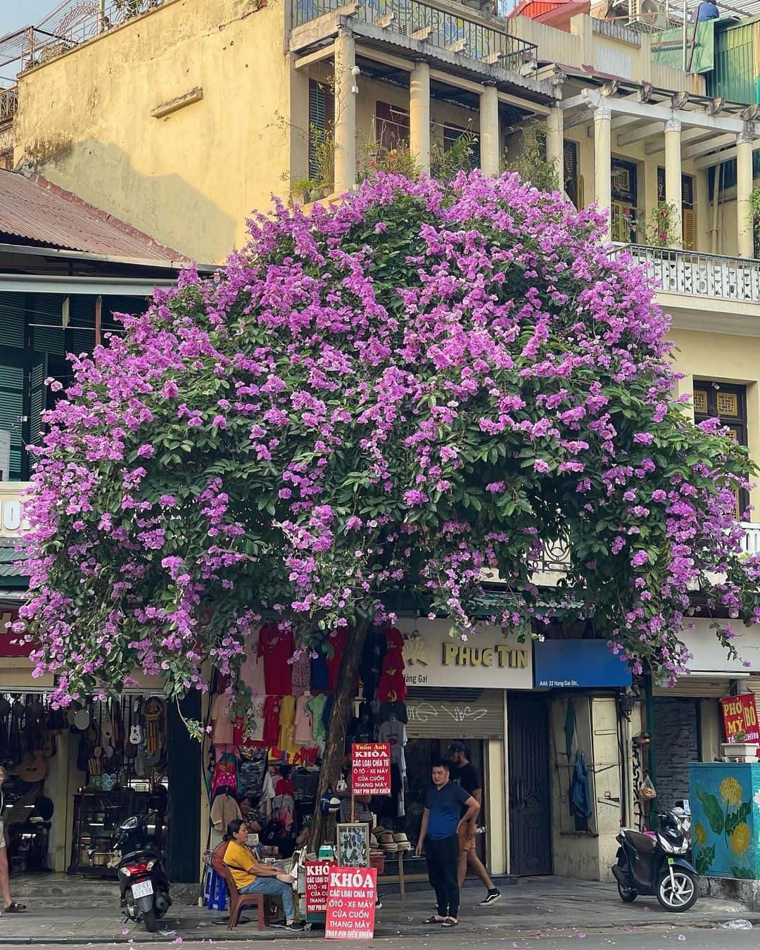 justfly pho hang gai hanoi