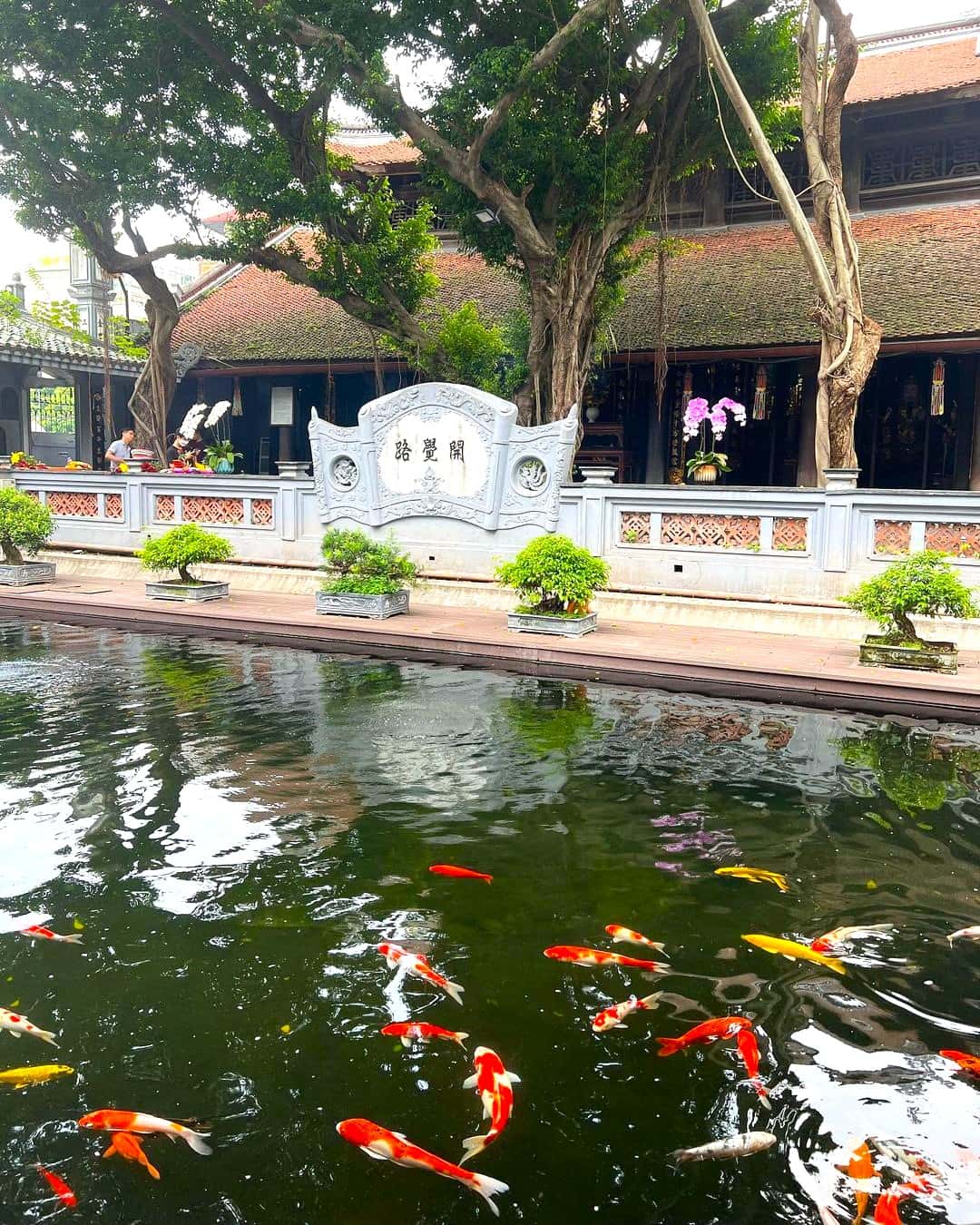 justfly chua ha hanoi