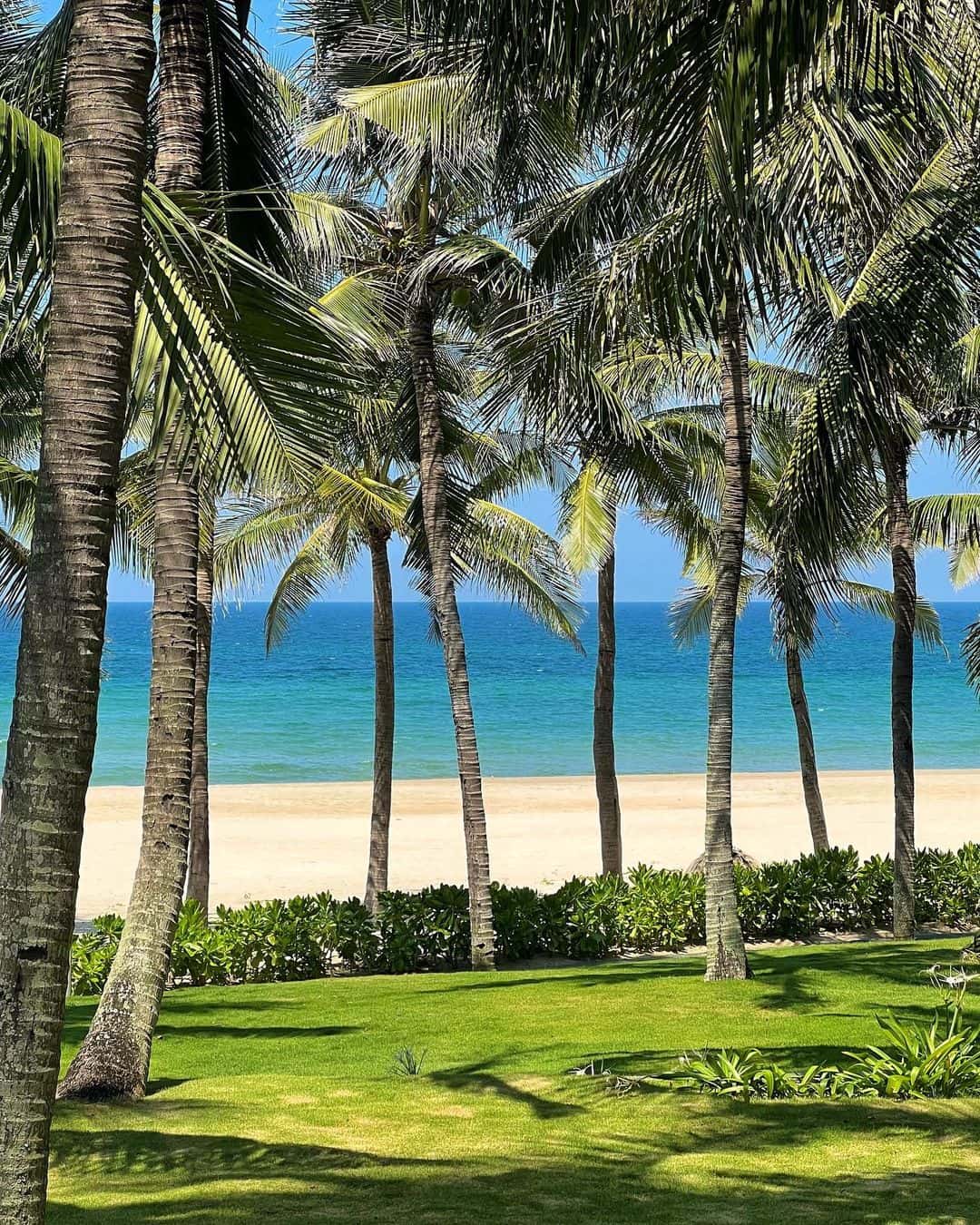 justfly bai bien non nuoc da nang