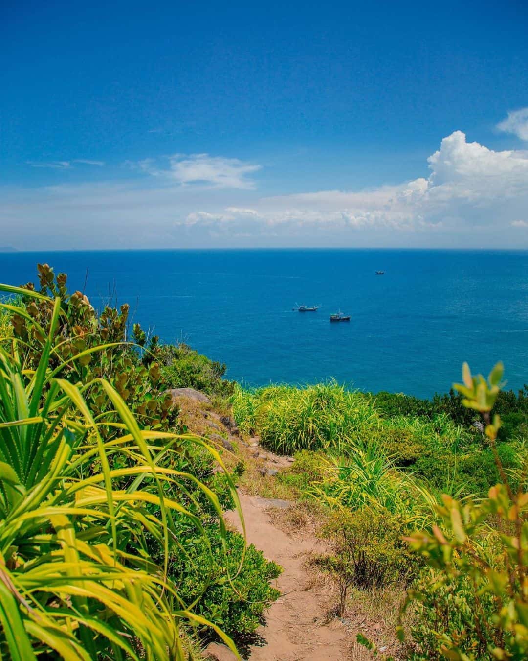 justfly mui nghe da nang