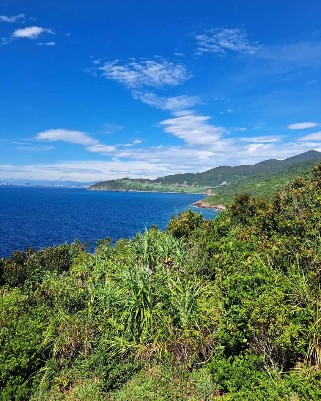 justfly mui nghe da nang