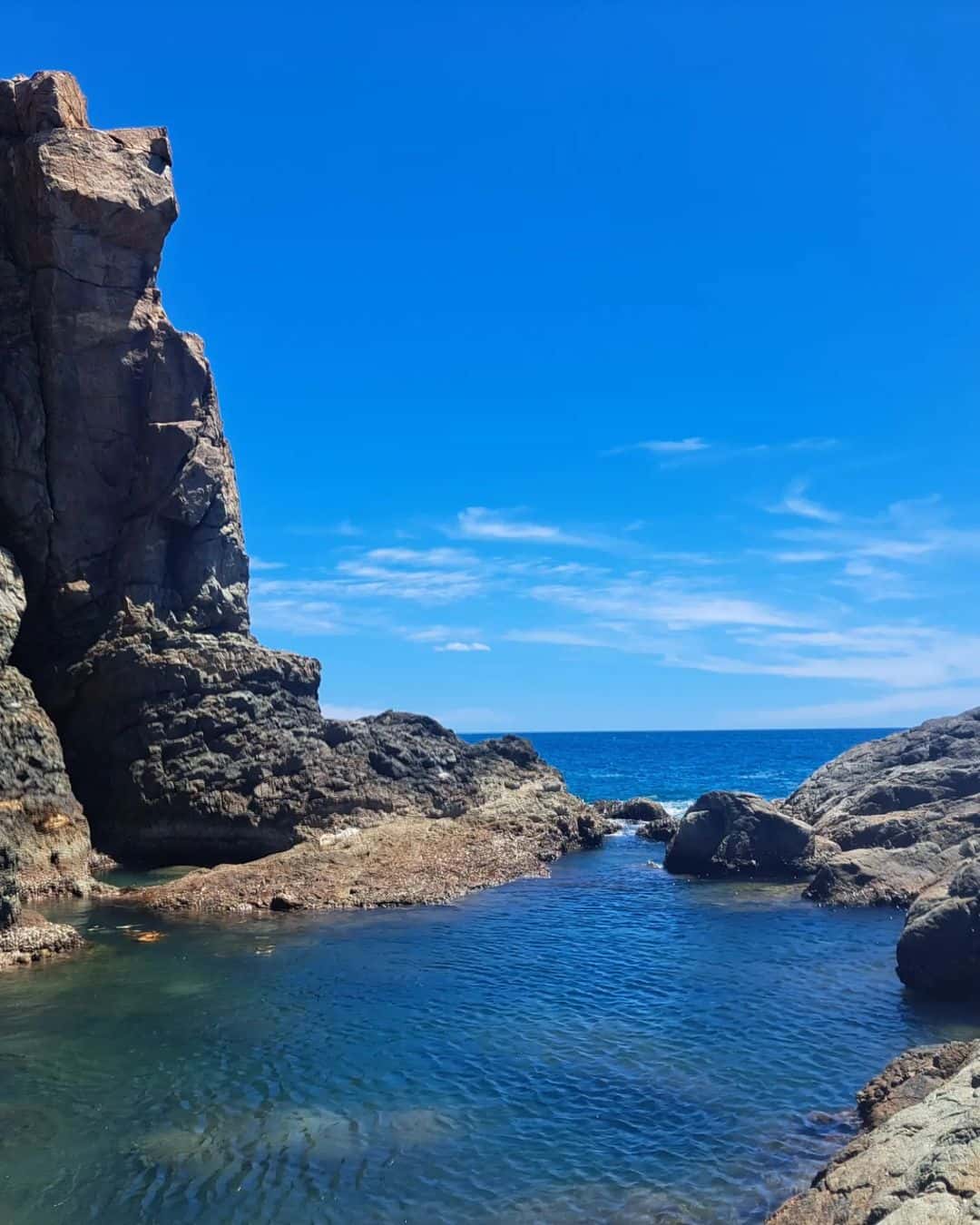 justfly mui nghe da nang