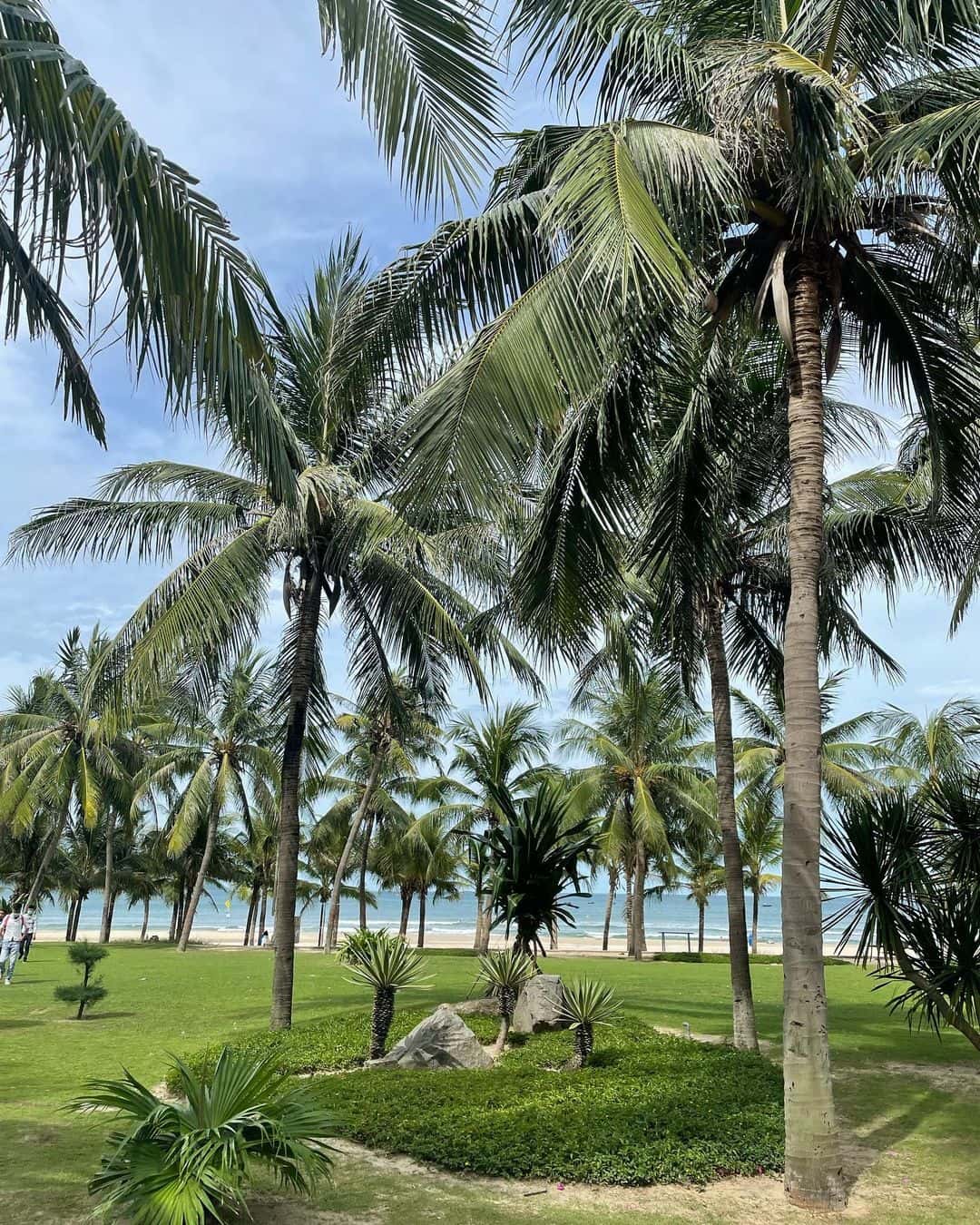 justfly cong vien bien dong da nang