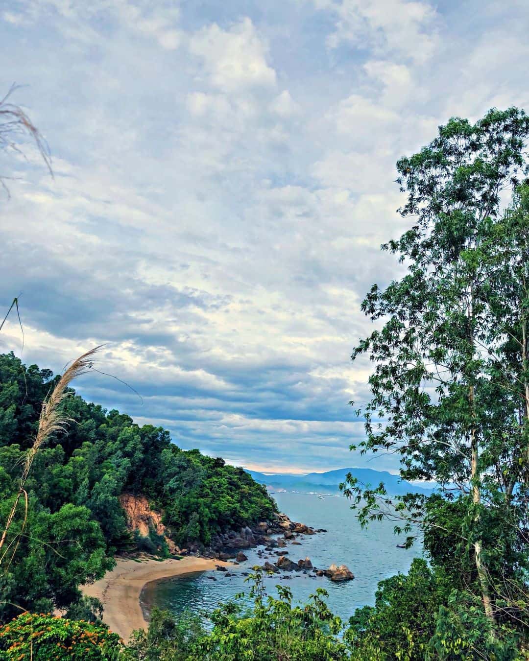 justfly bai cat vang da nang