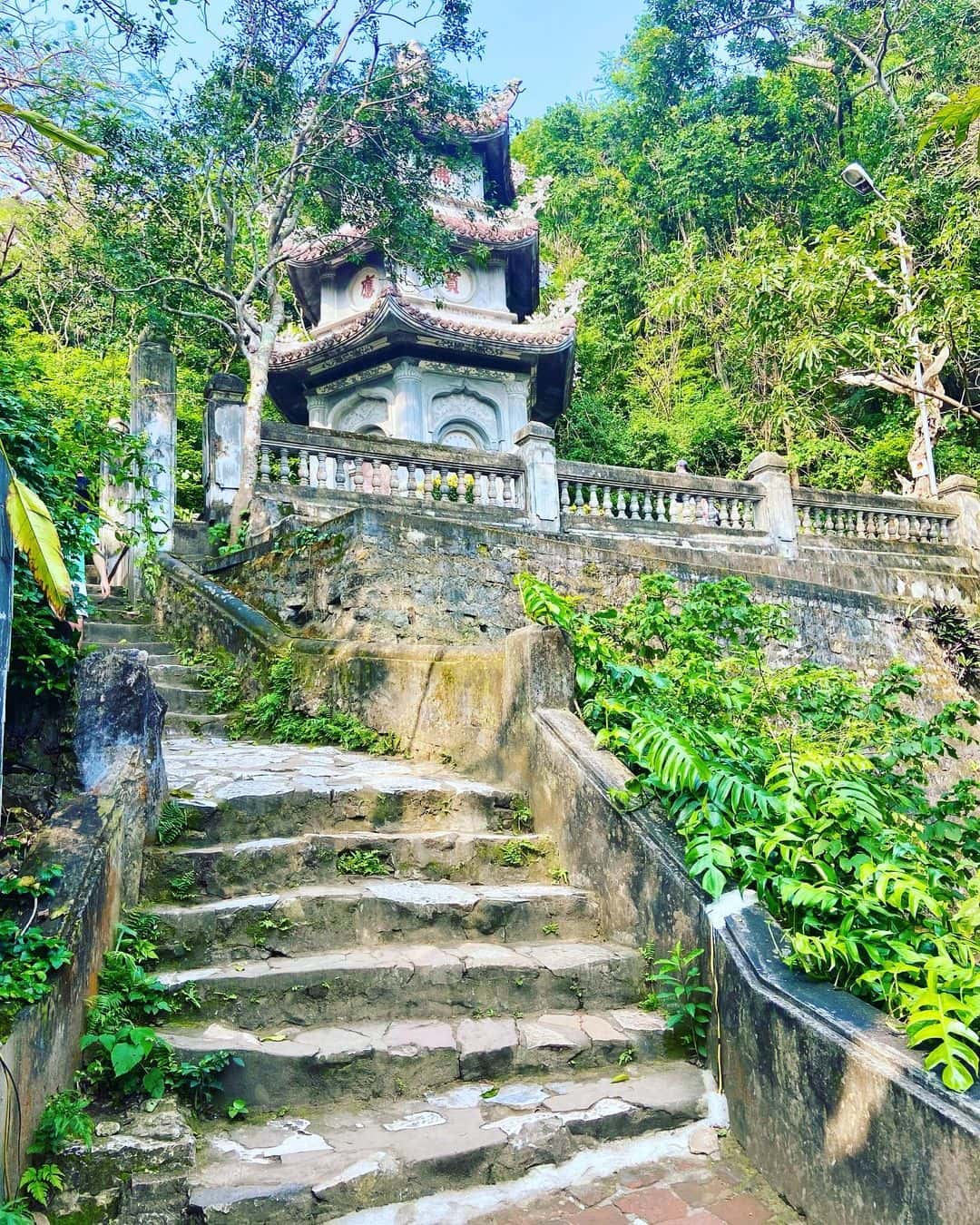 justfly chua tam thai da nang