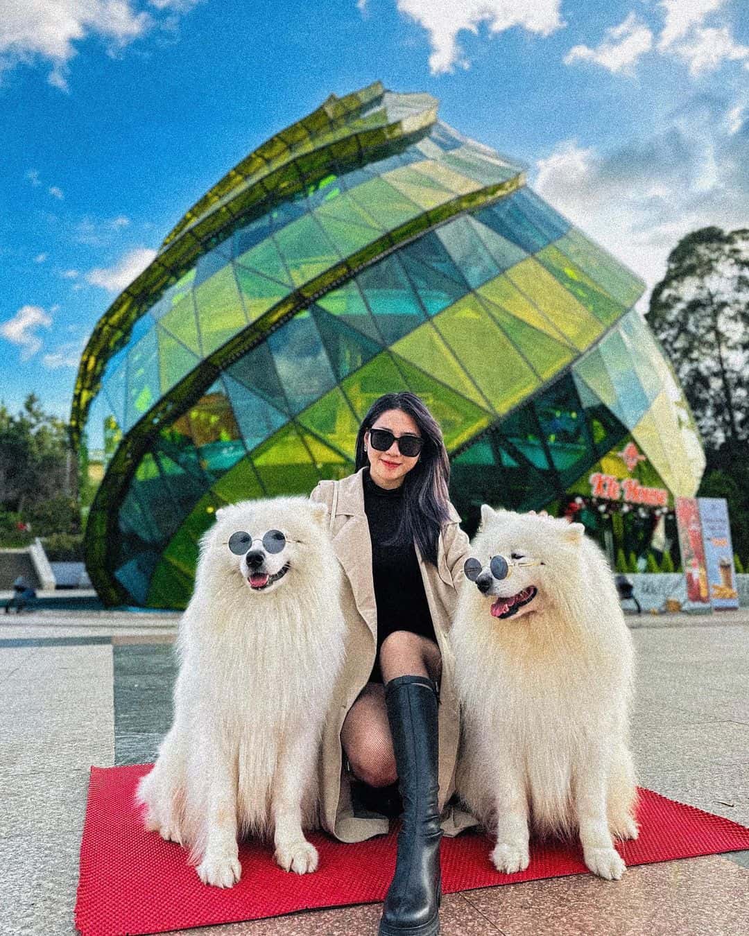 justfly quang truong lam vien da lat