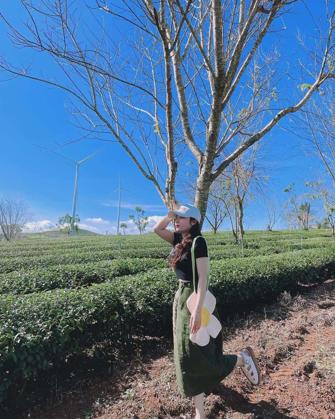 justfly doi che cau dat da lat