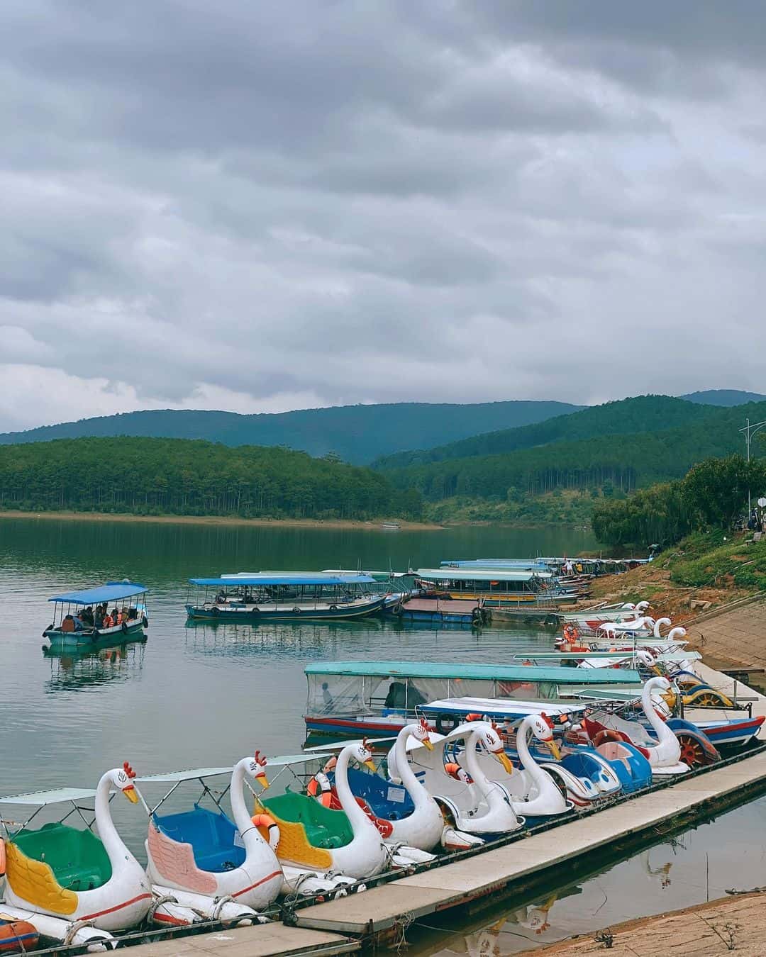 justfly ho tuyen lam da lat 