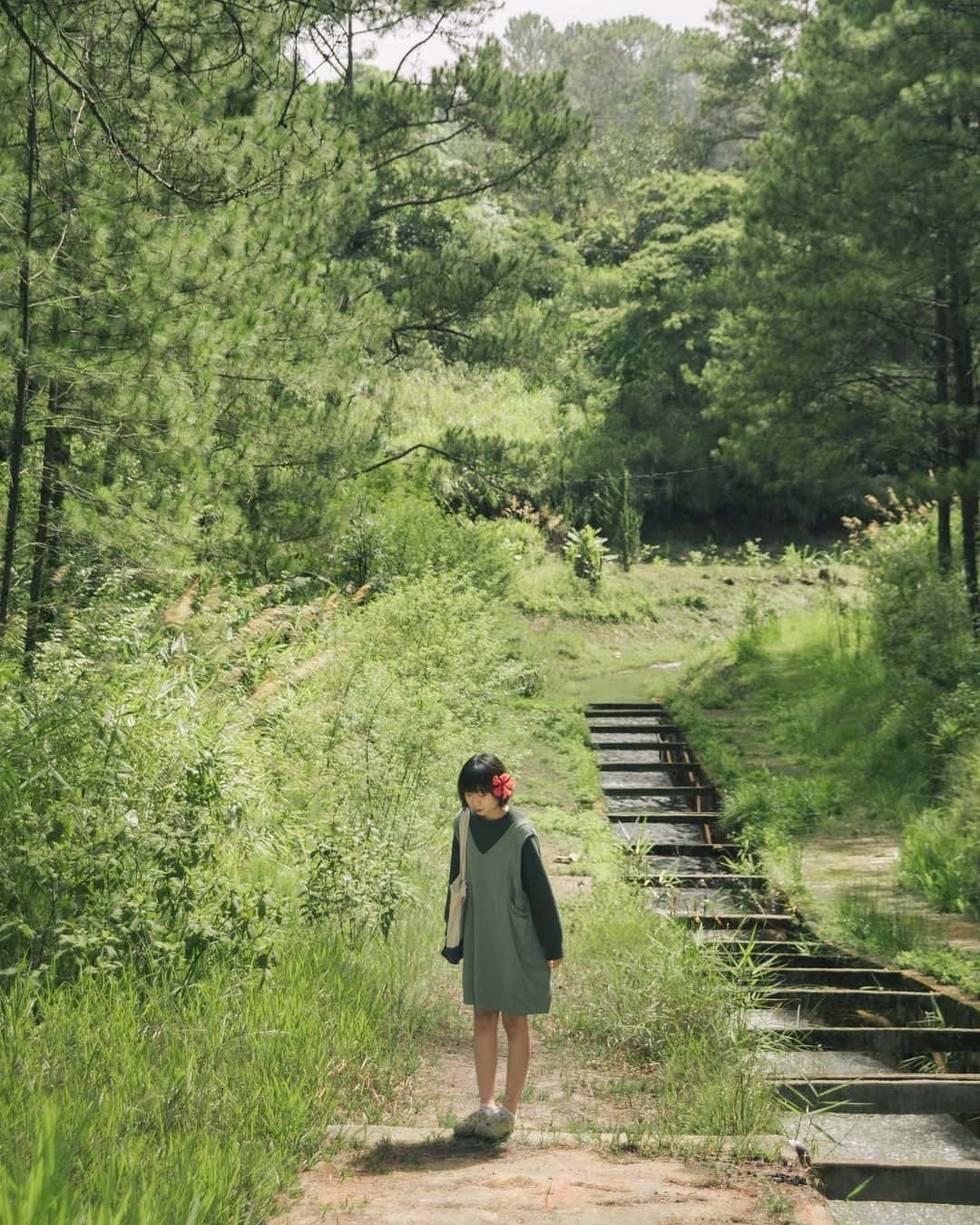 justfly ho tuyen lam da lat 
