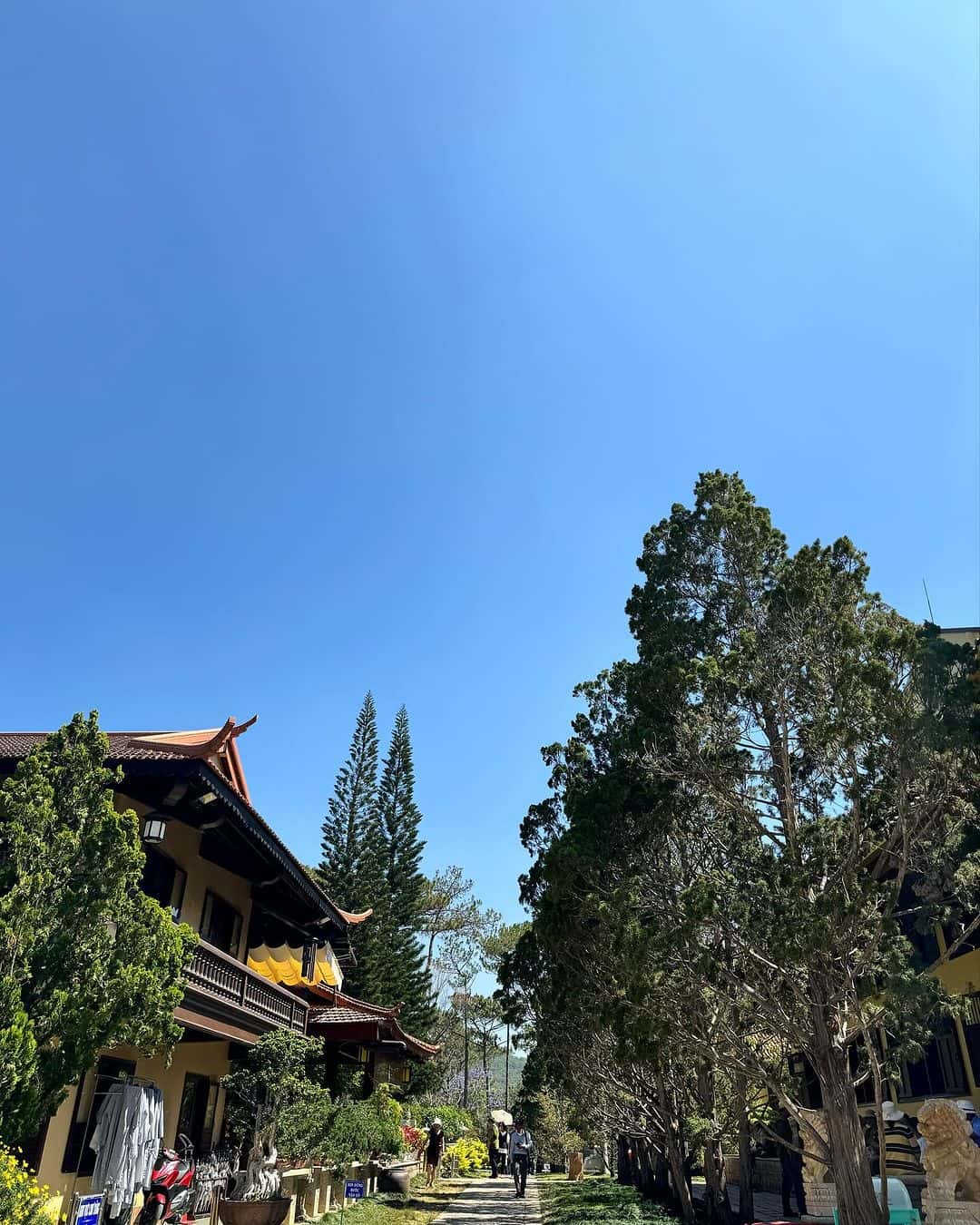 justfly thien vien truc lam da lat 