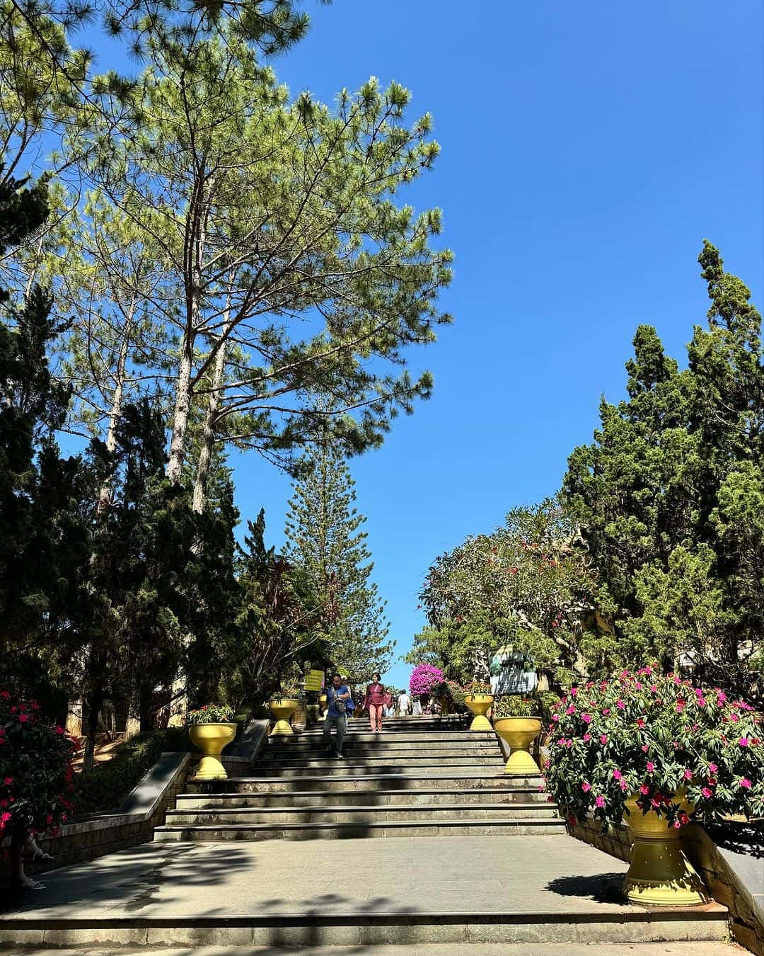 justfly thien vien truc lam da lat 