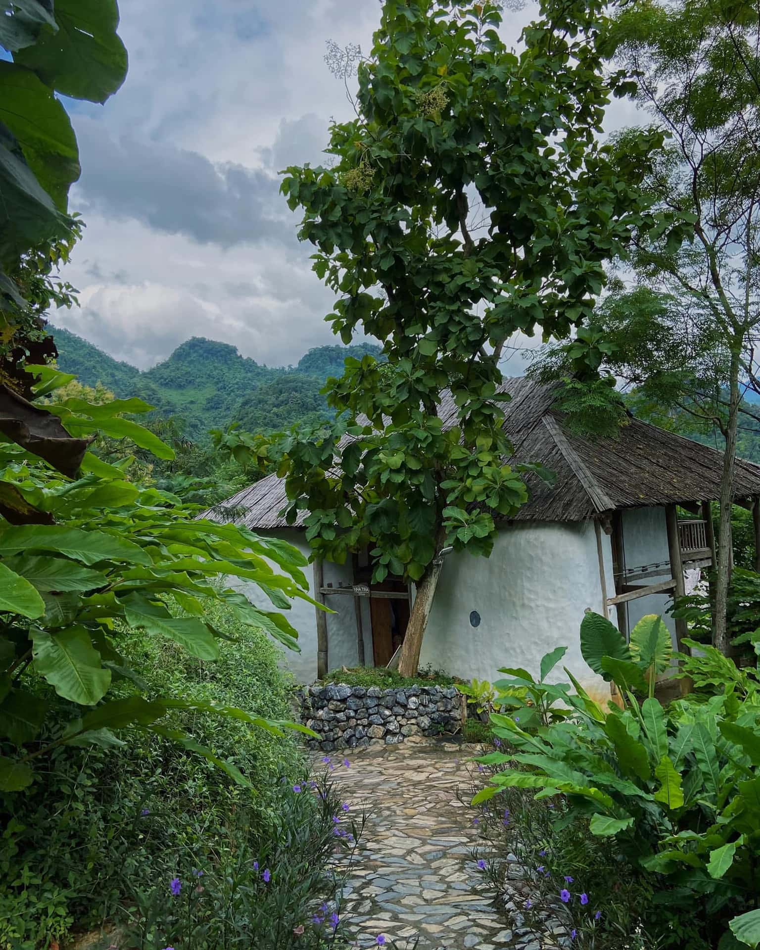 Nhà Mơ (Xoan Retreat) tại Đà Bắc, Hòa Bình — ảnh 28