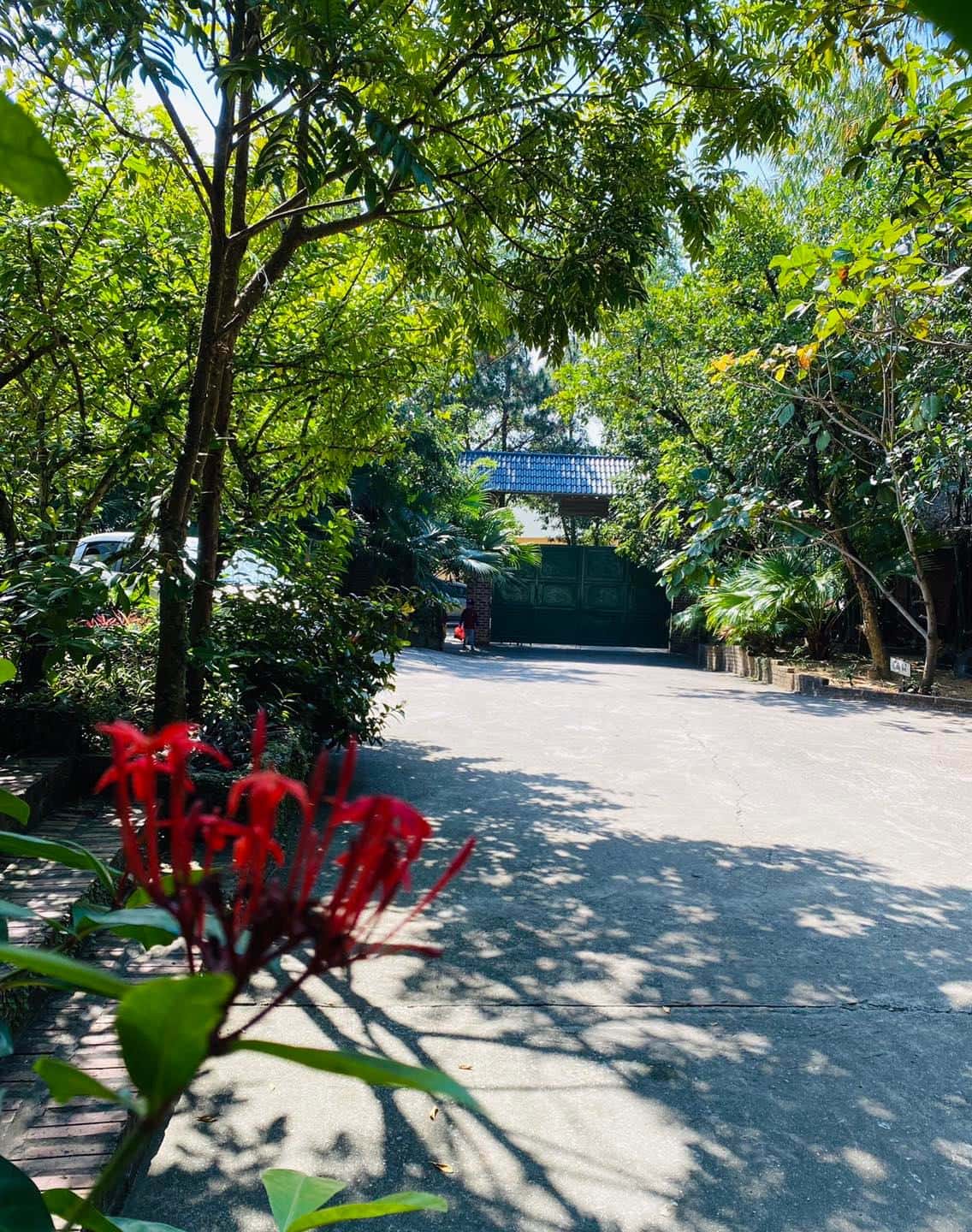 justfly khu du lich sinh thai ban rom soc son