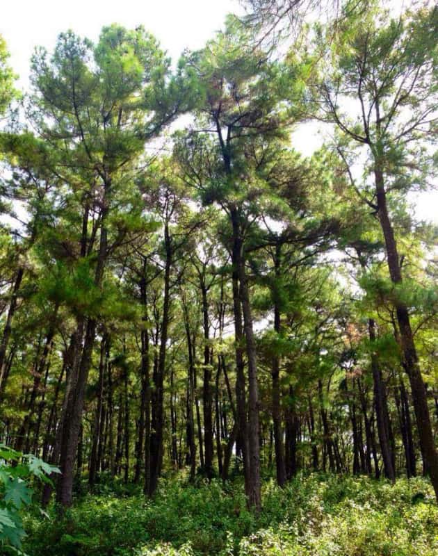 Hồ Đồng Chương, Ninh Bình — ảnh 17