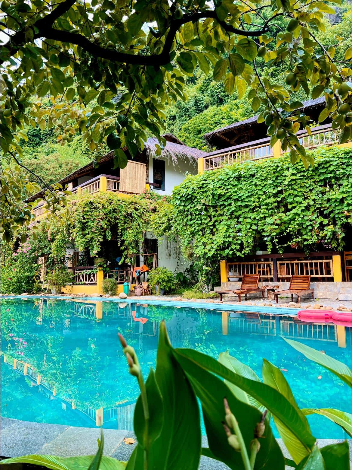 justfly trang an ecolodge ninh binh