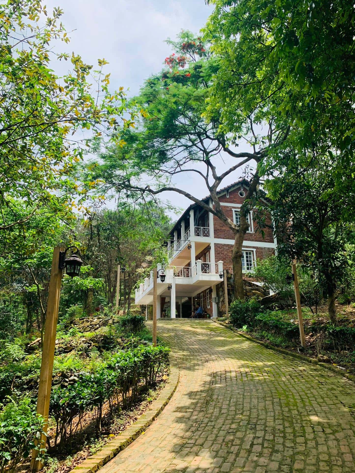 Mây House, Sóc Sơn () — 照片 1