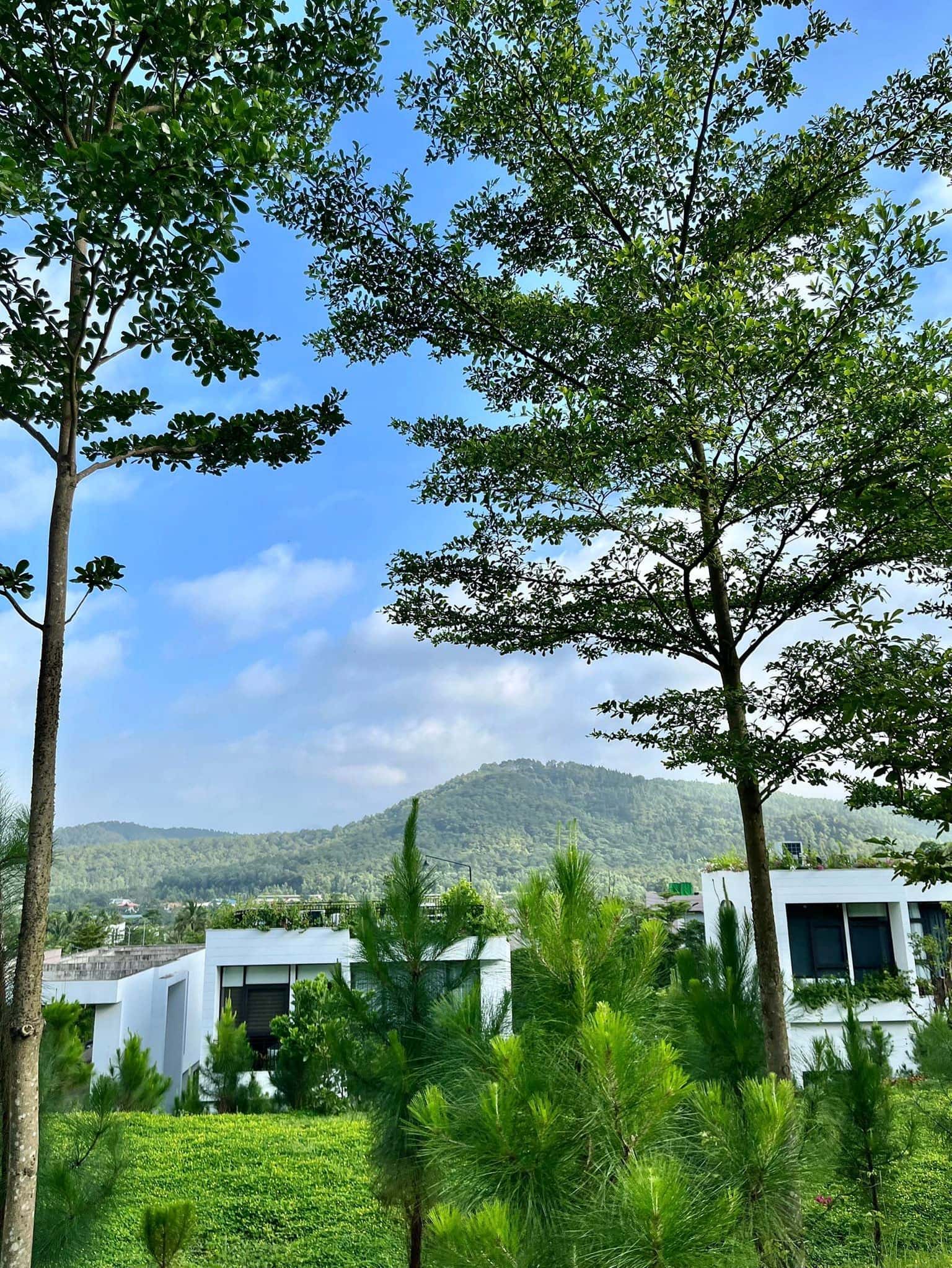 Chum Villa F2.19, Venus Đại Lải — ảnh 7