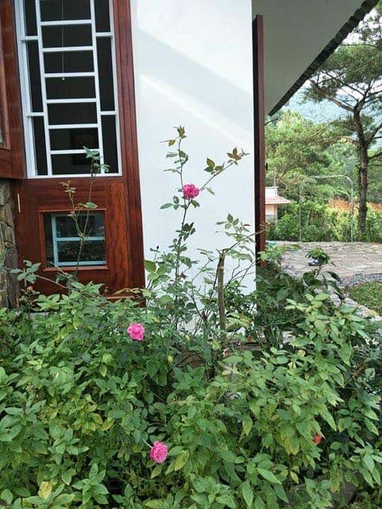 Love之家，Sóc Sơn () — 照片 6