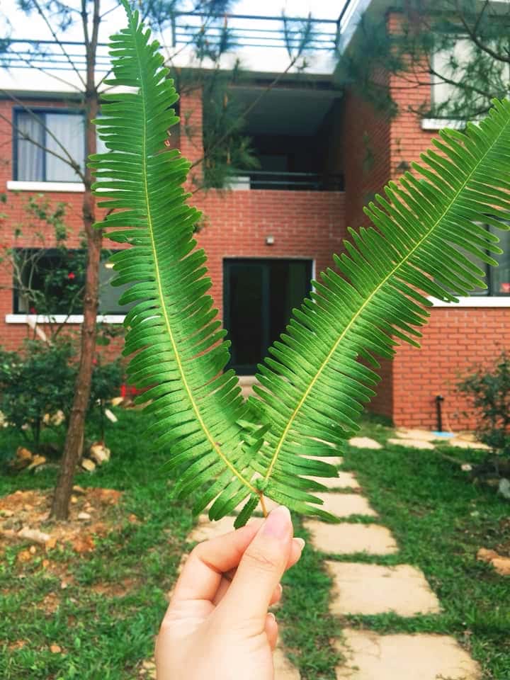Villa R2 - Sóc Sơn Riverside () — ảnh 9