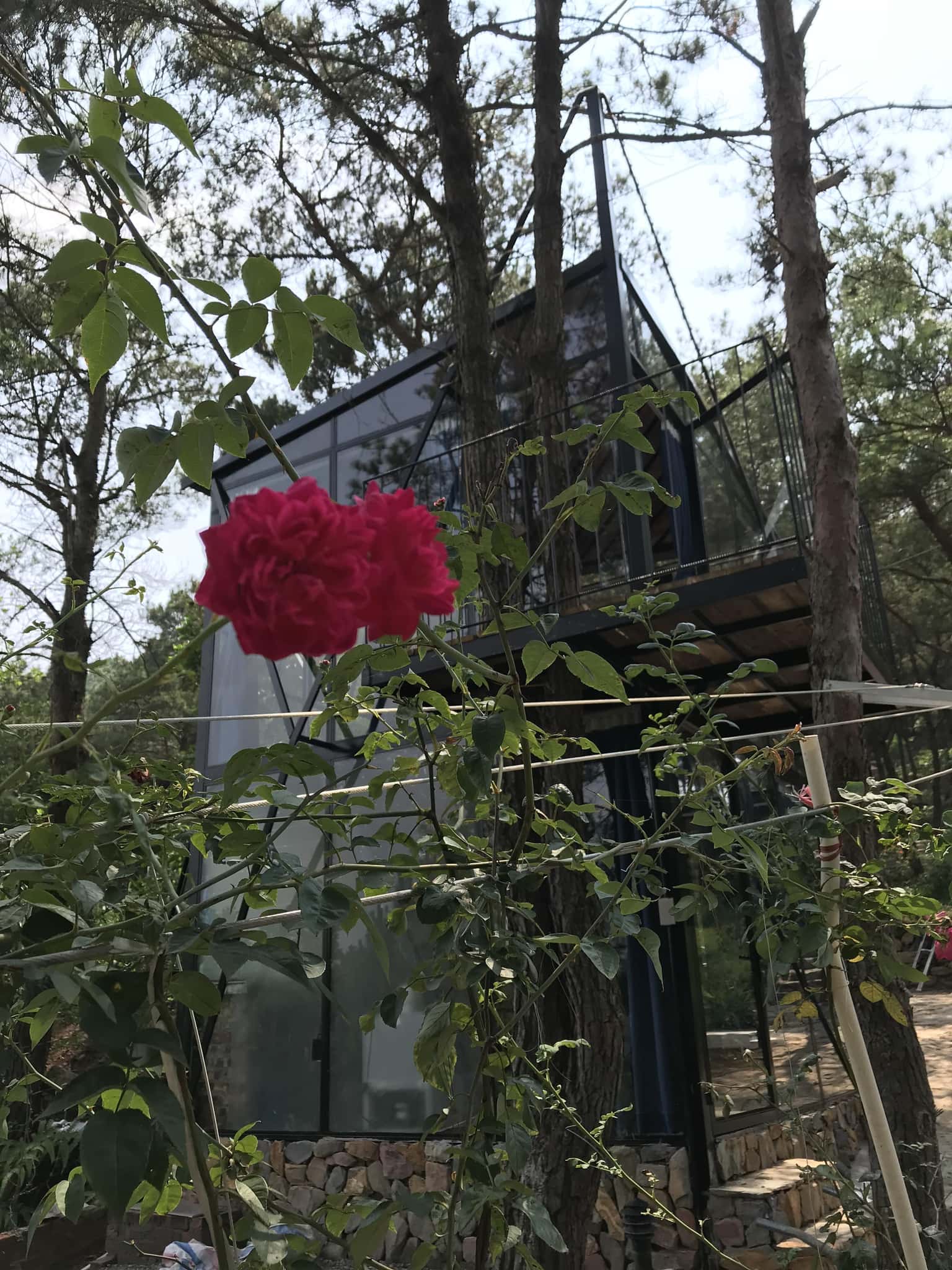 Nhà Gấu - Ánh Trăng, Sóc Sơn () — ảnh 7