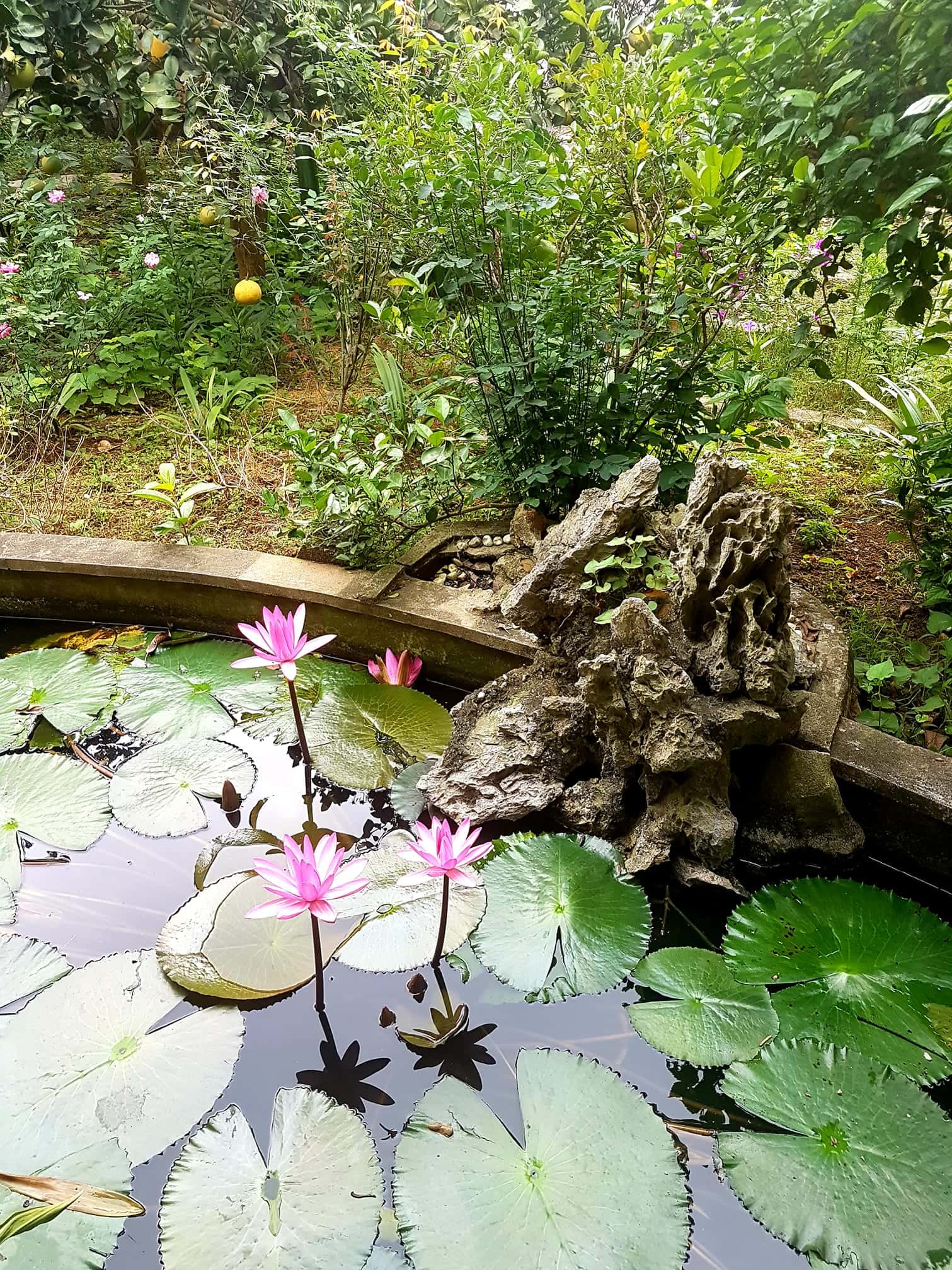 Lâm Villa in Lương Sơn, Hòa Bình — photo 18