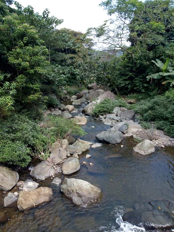 cuu thac tu son kim boi hoa binh