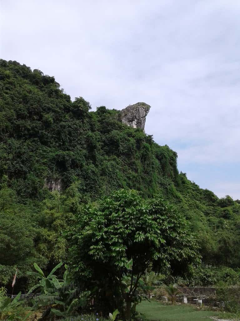 dong da bac luong son hoa binh