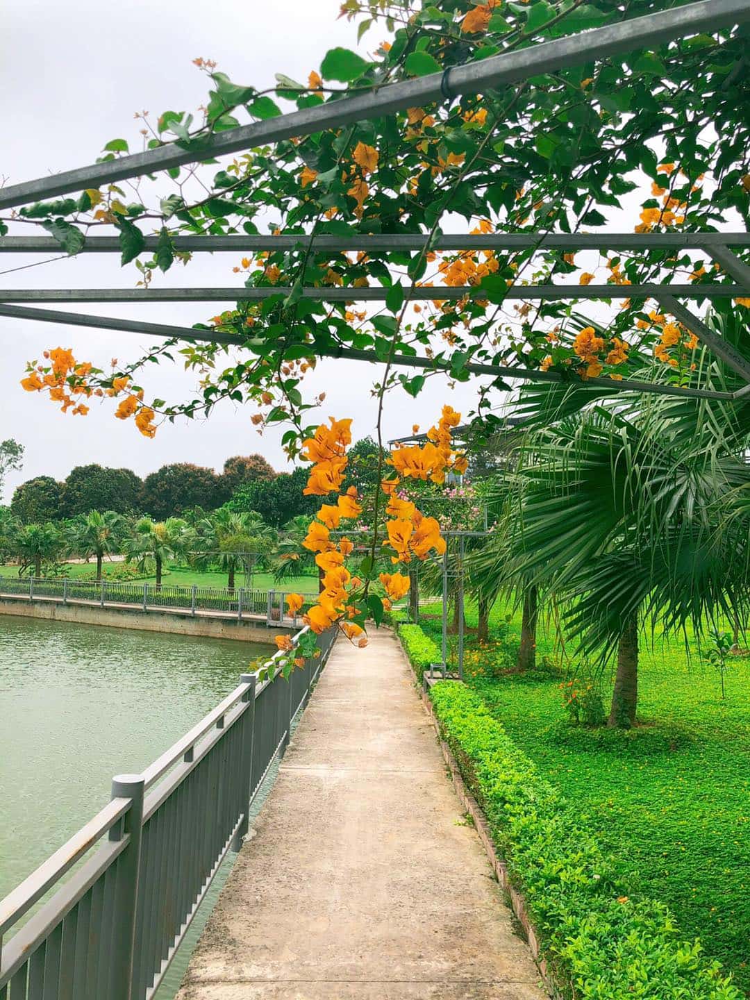 An's Garden, Sơn Tây — ảnh 7