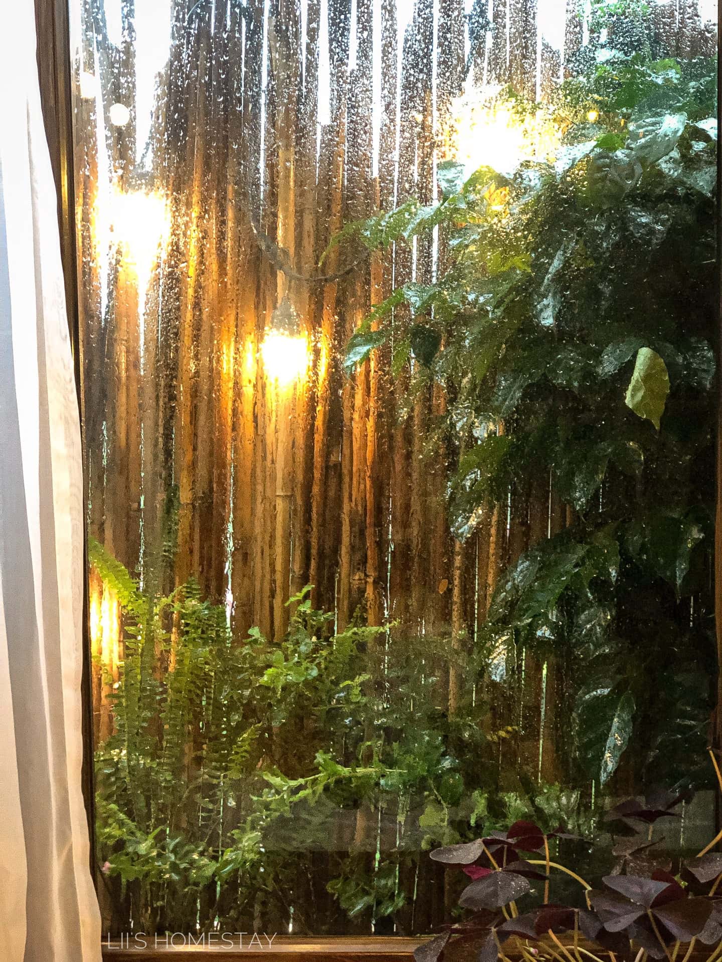 Gác Mái - Lii's Homestay, Tây Hồ — photo 14