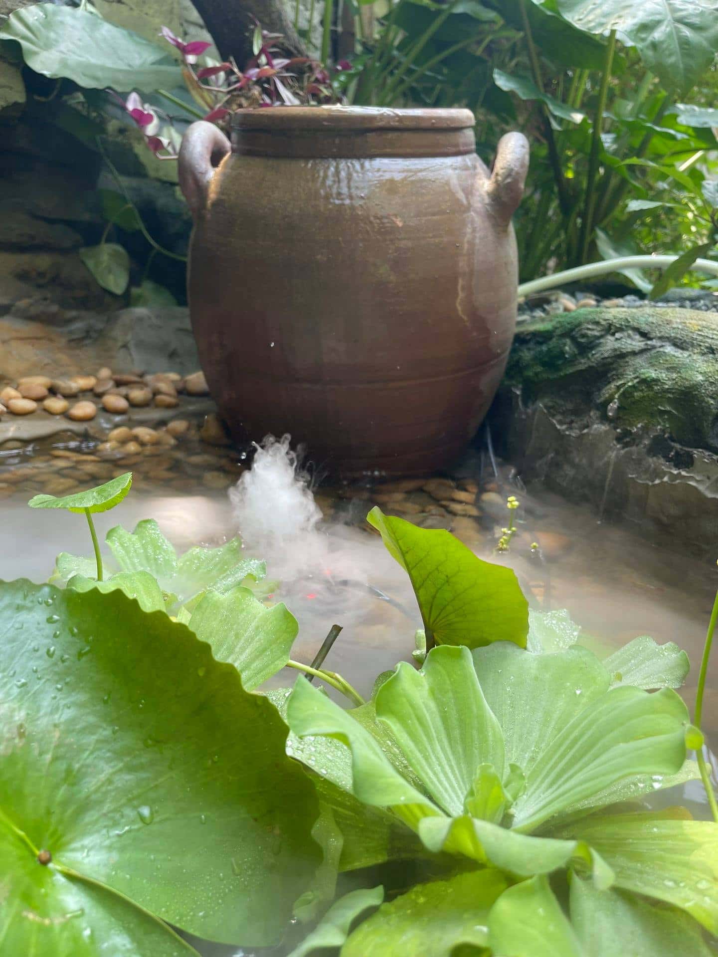 phong bali lii's homestay