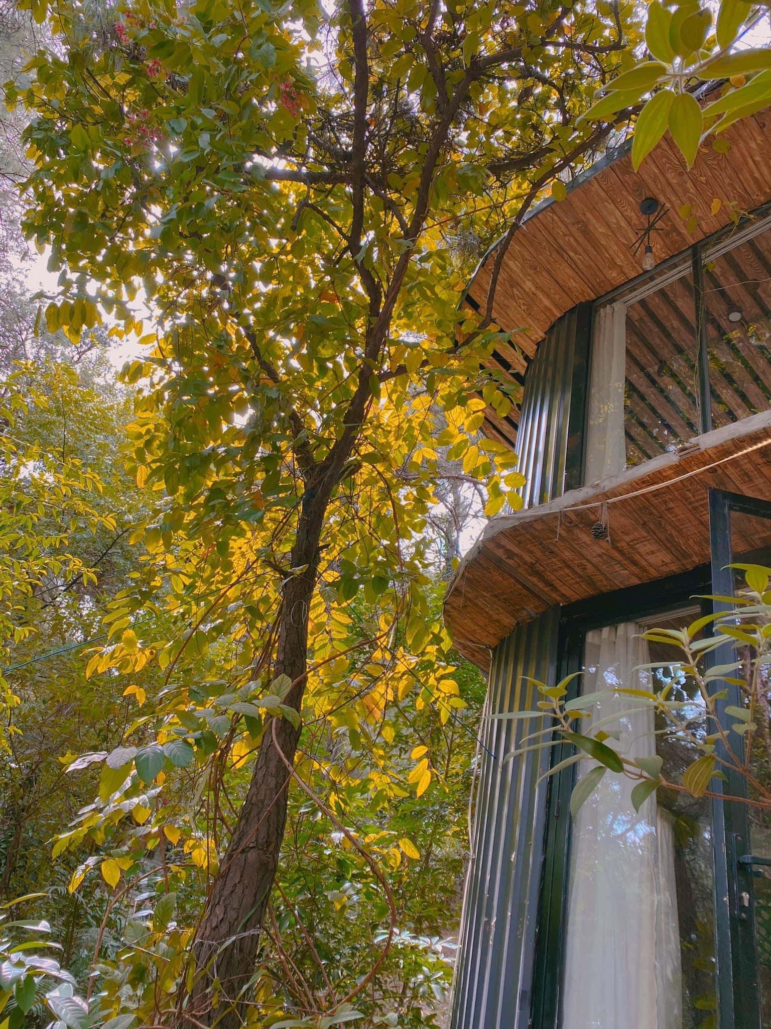 Nhà Hoàng Tử - Ánh Trăng Villa, Sóc Sơn () — ảnh 8