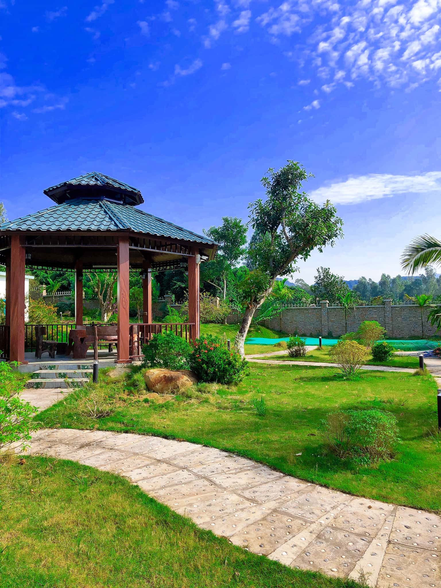 Botanic Garden Homestay tại Minh Phú, Sóc Sơn — ảnh 15