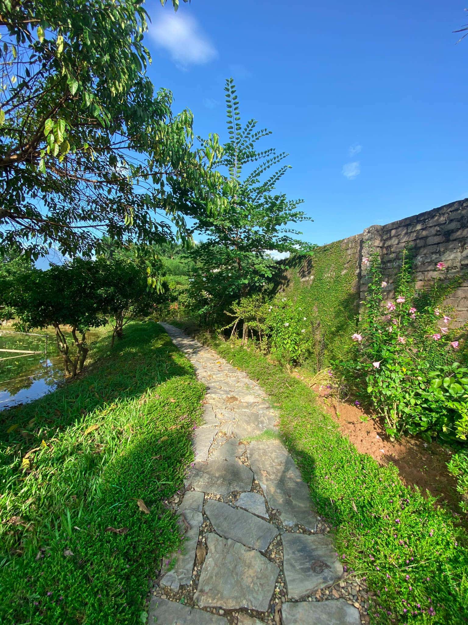 green hill 7 phong ngu ba vi