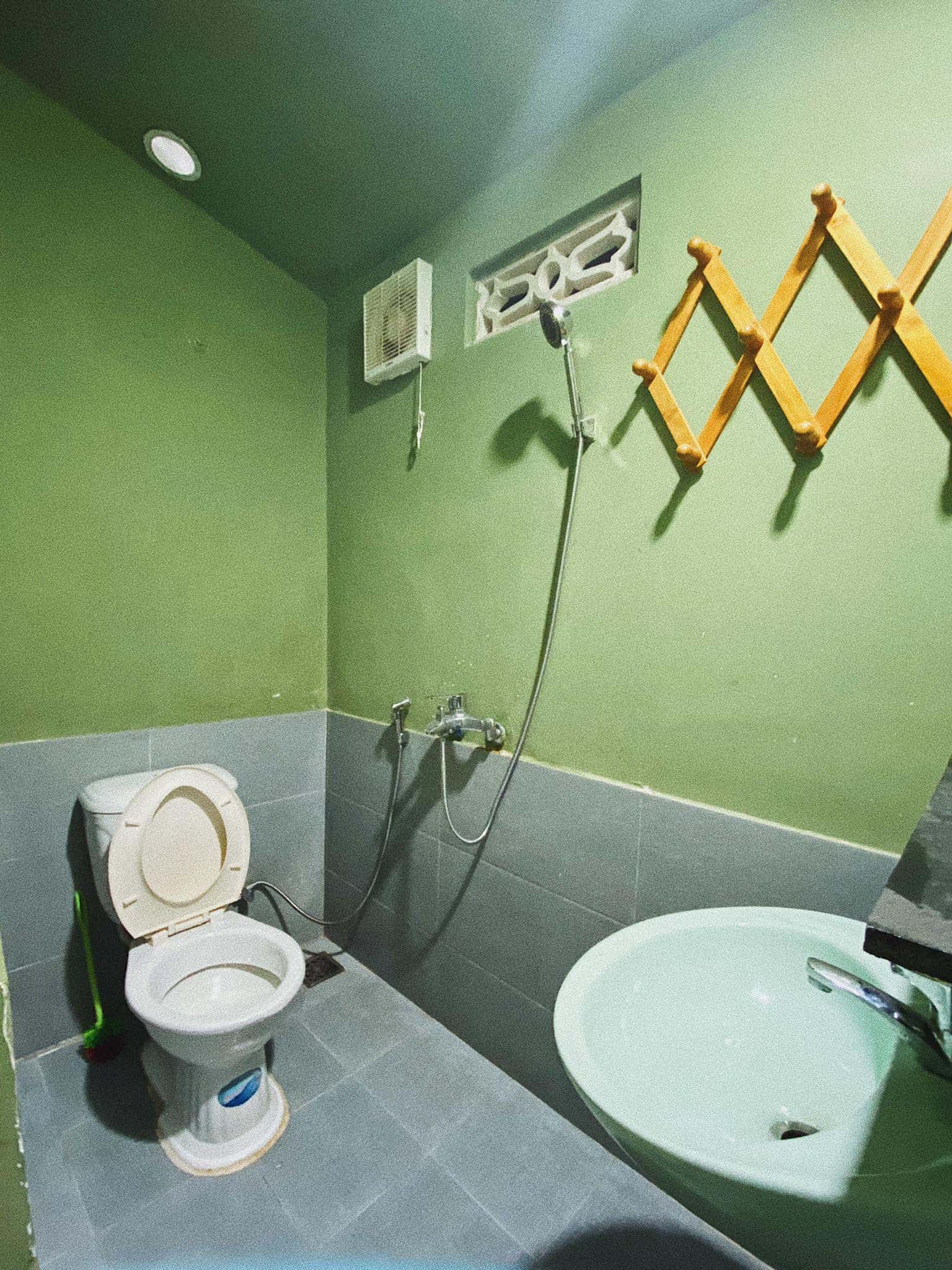 Mèo Xiêm, Đà Lạt — ảnh 5