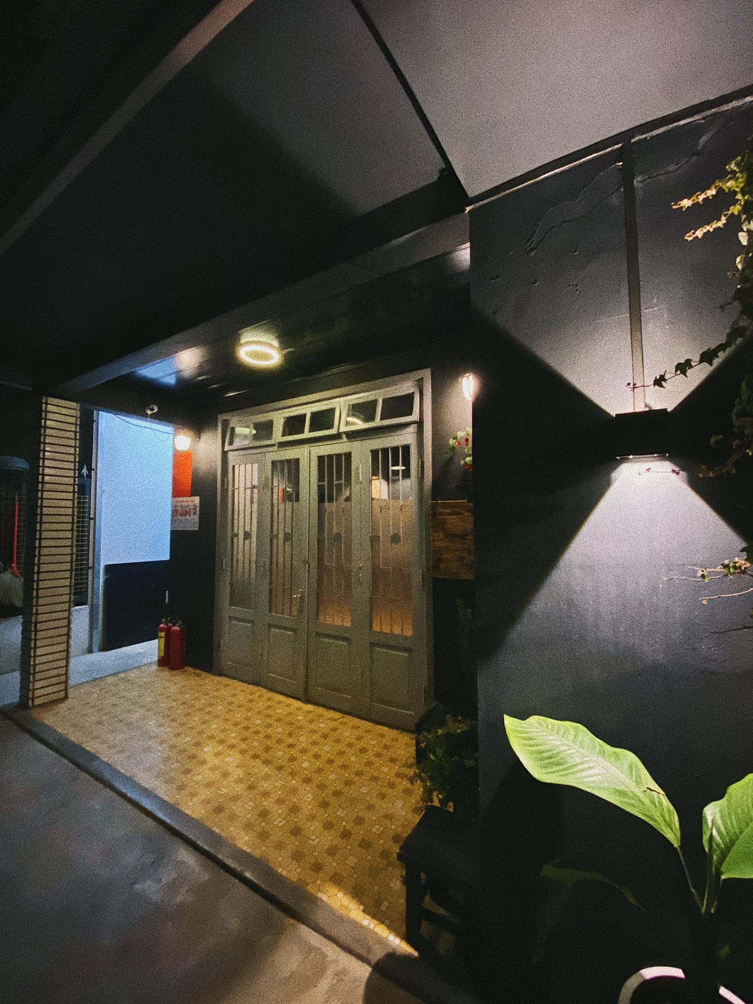 Mèo Xiêm, Đà Lạt — ảnh 7