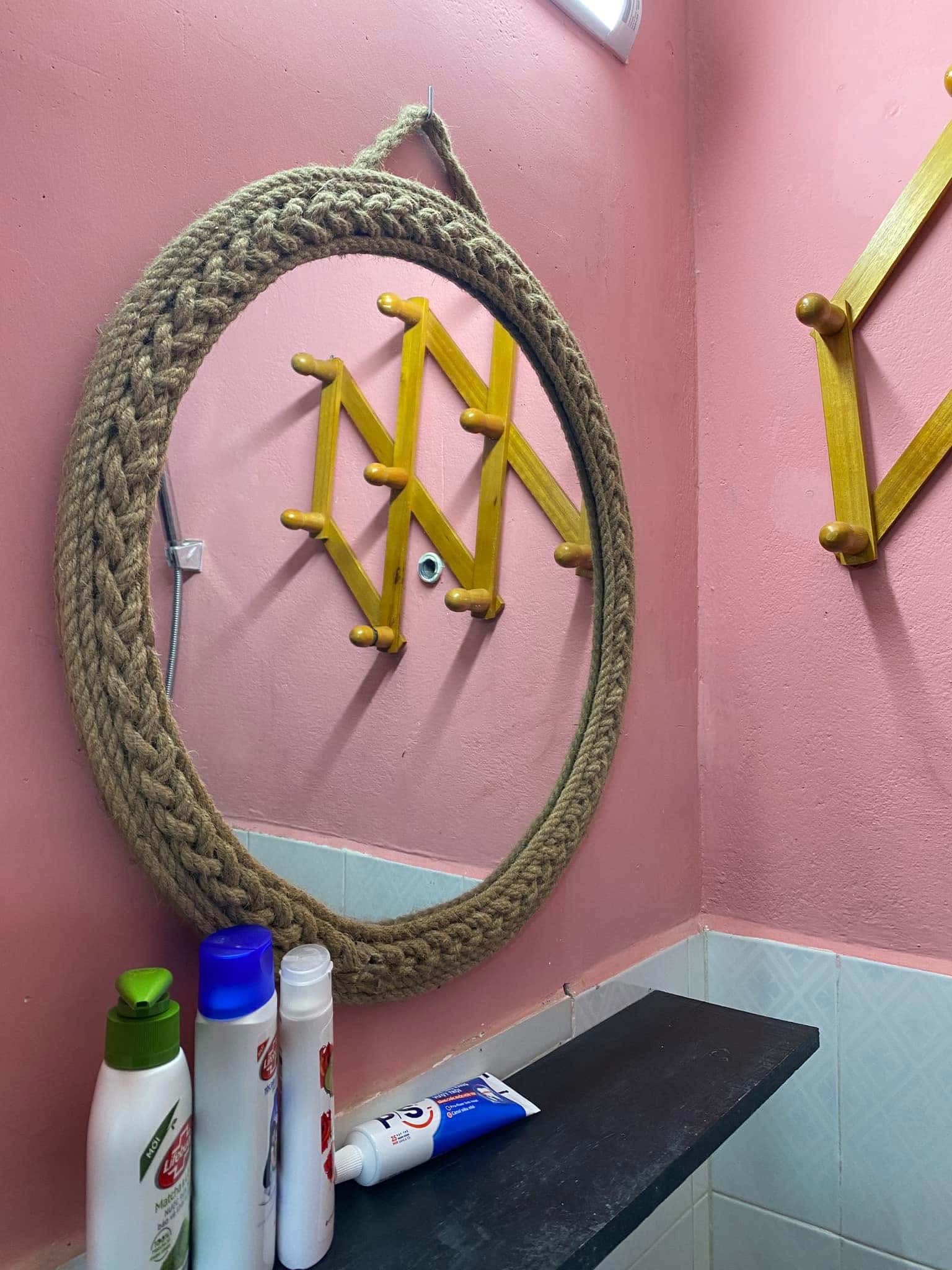 Mèo Xiêm, Đà Lạt — ảnh 28