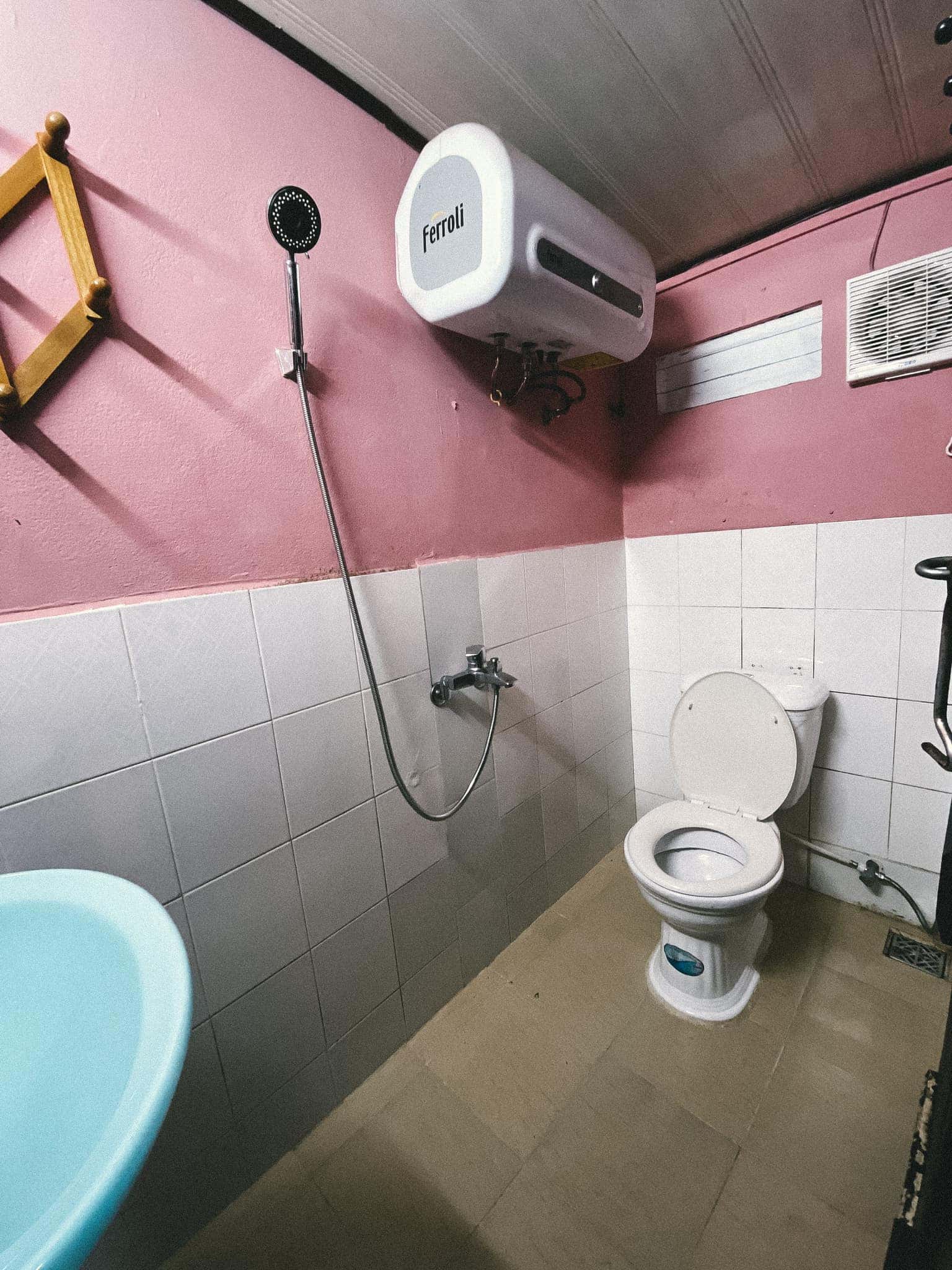 Mèo Xiêm, Đà Lạt — ảnh 29