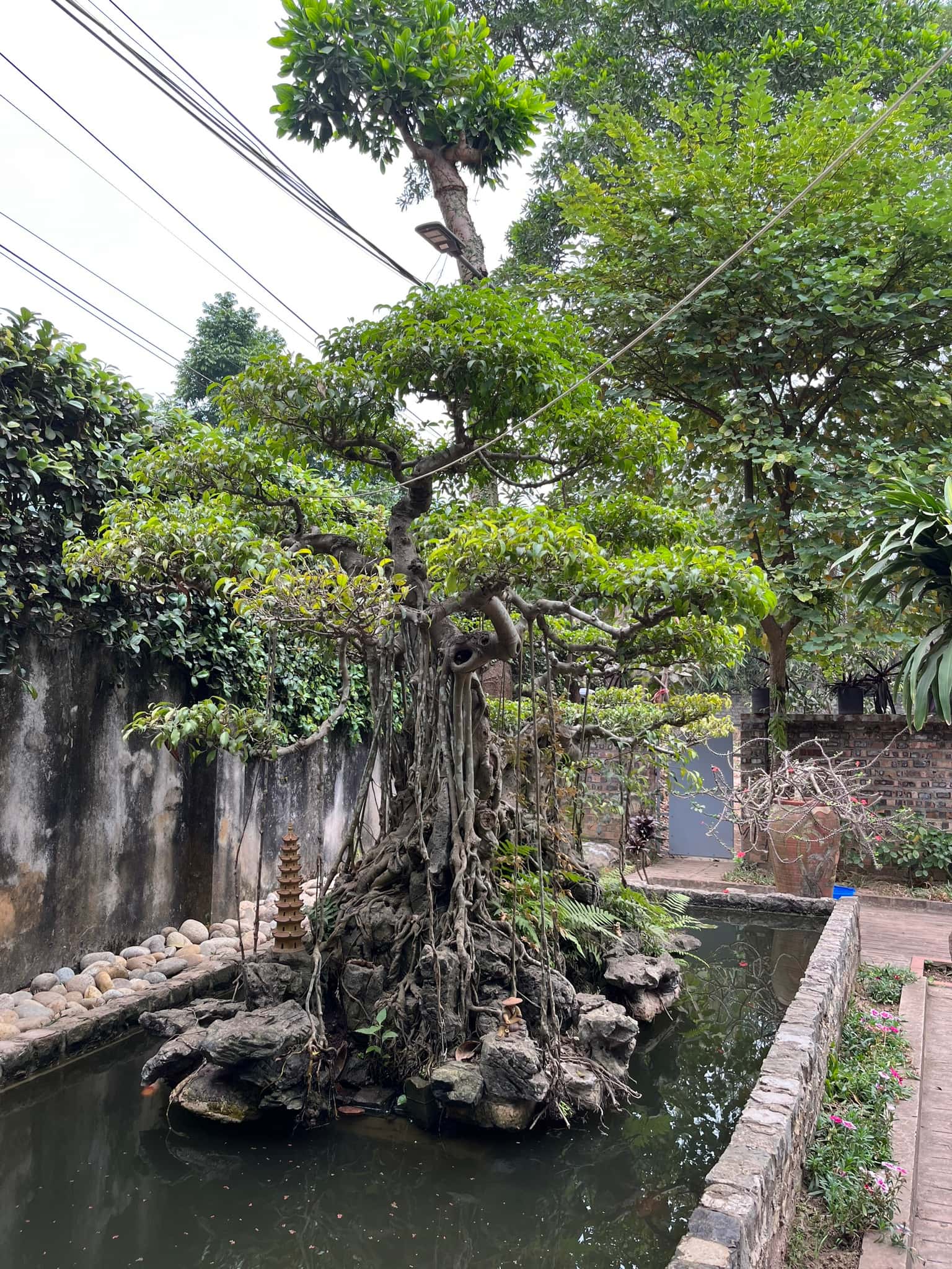 Lakeside Garden, Sóc Sơn () — photo 7