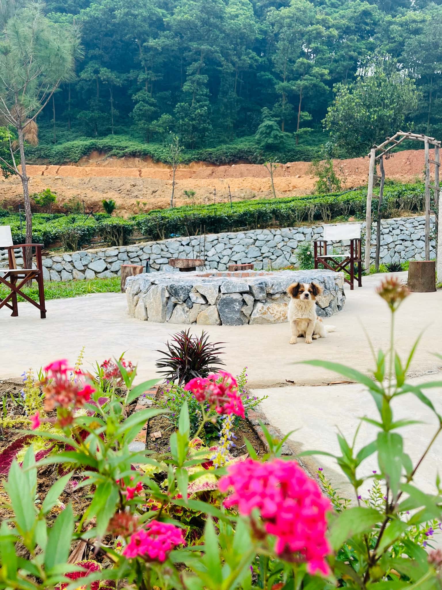 位于Minh Trí, Sóc Sơn的Trúc House (Maison in Forest) — 照片 9
