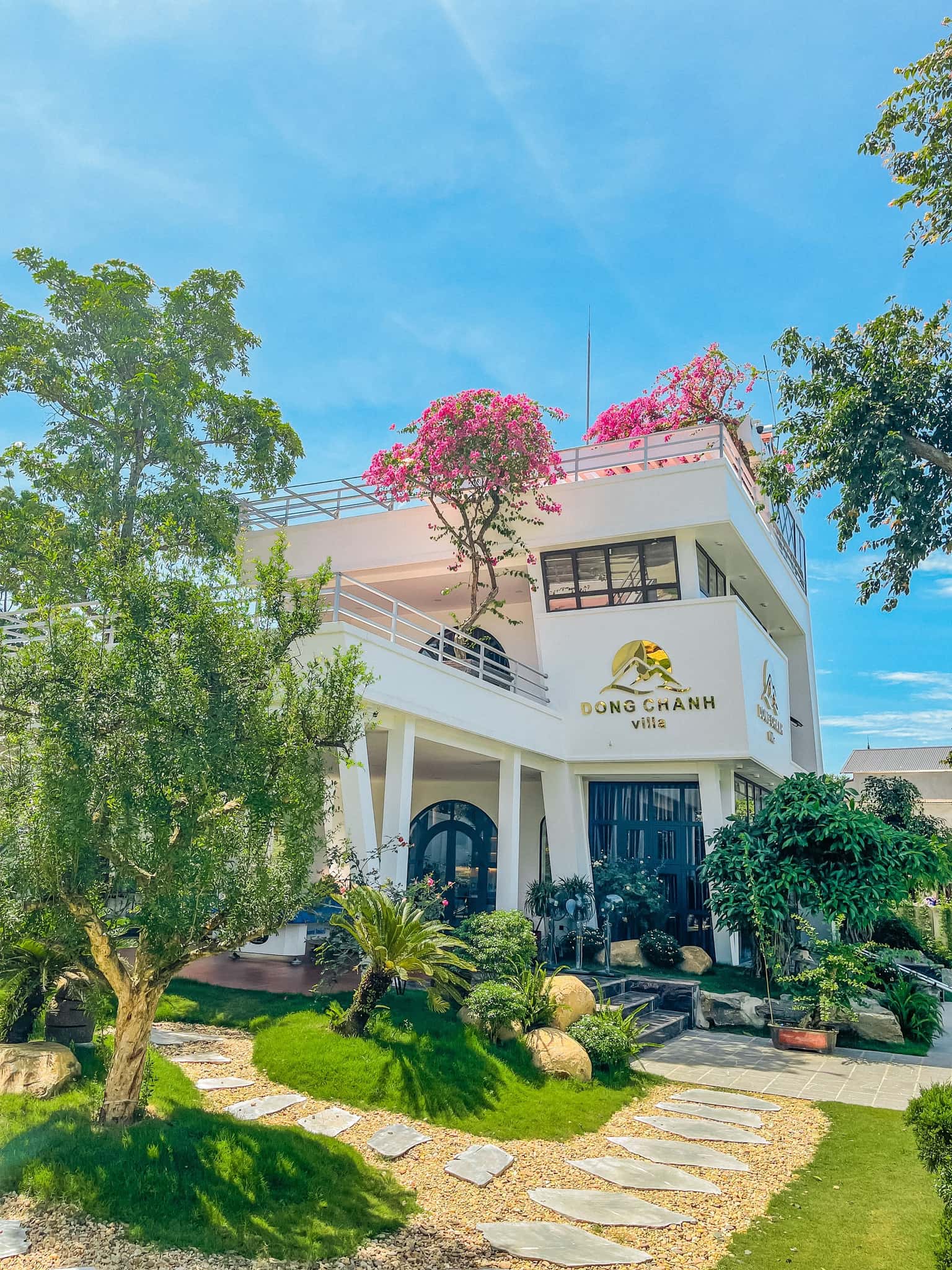 dong tranh villa hoa binh