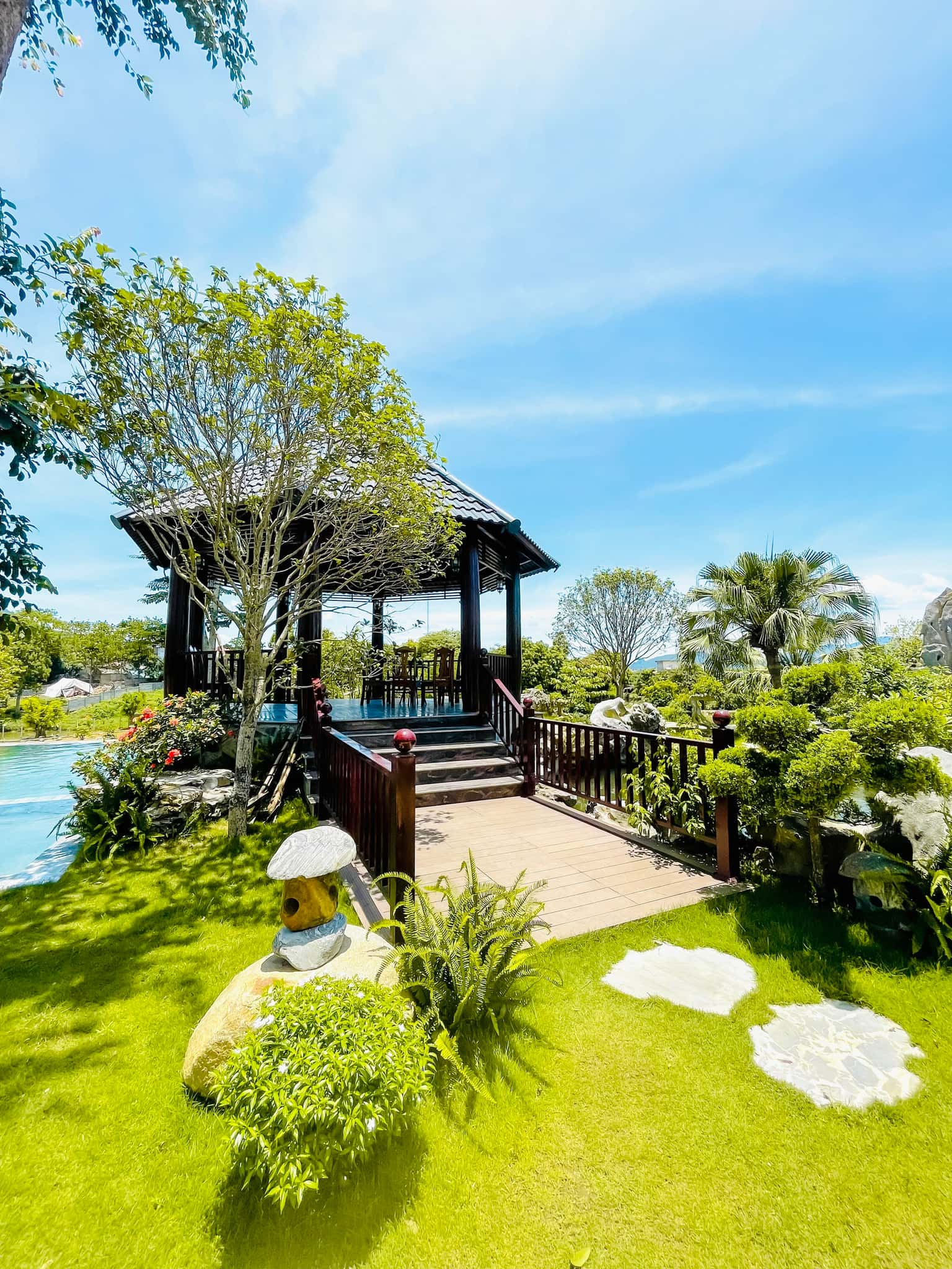 dong tranh villa hoa binh