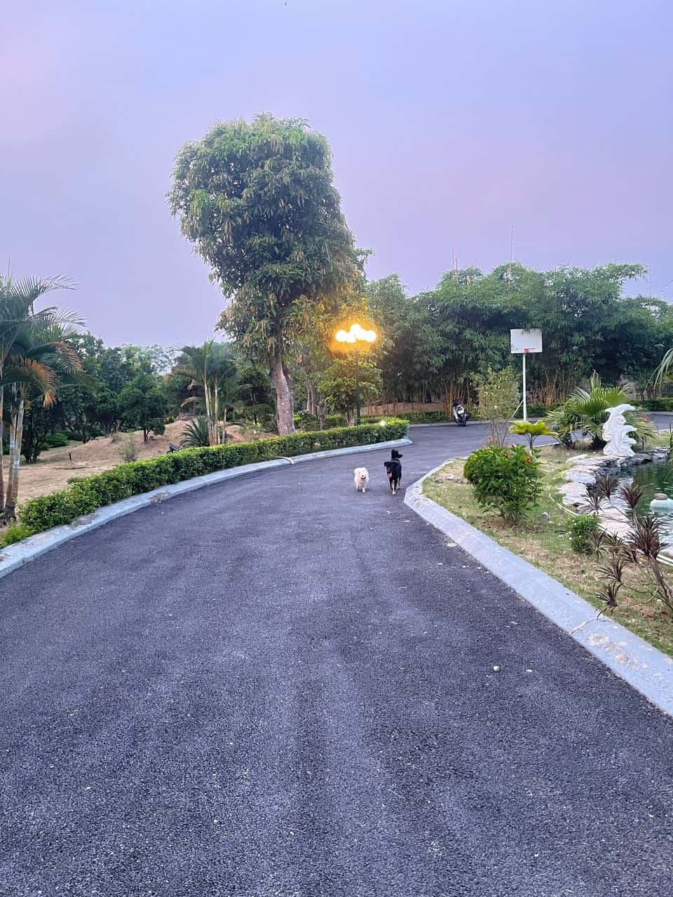 Việt Villa, Hoà Bình — 照片 6