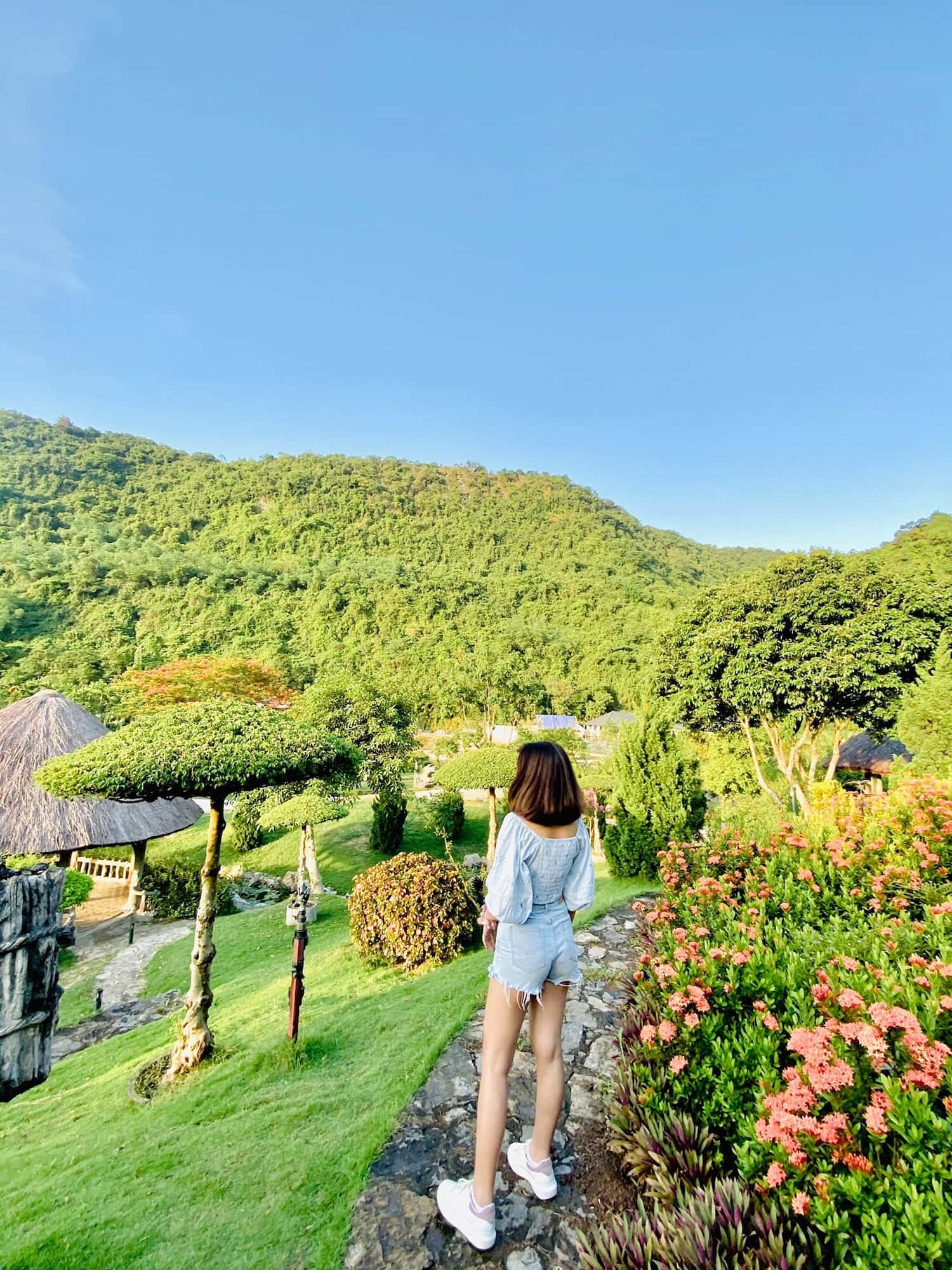 justfly thung nham bird park ninh binh