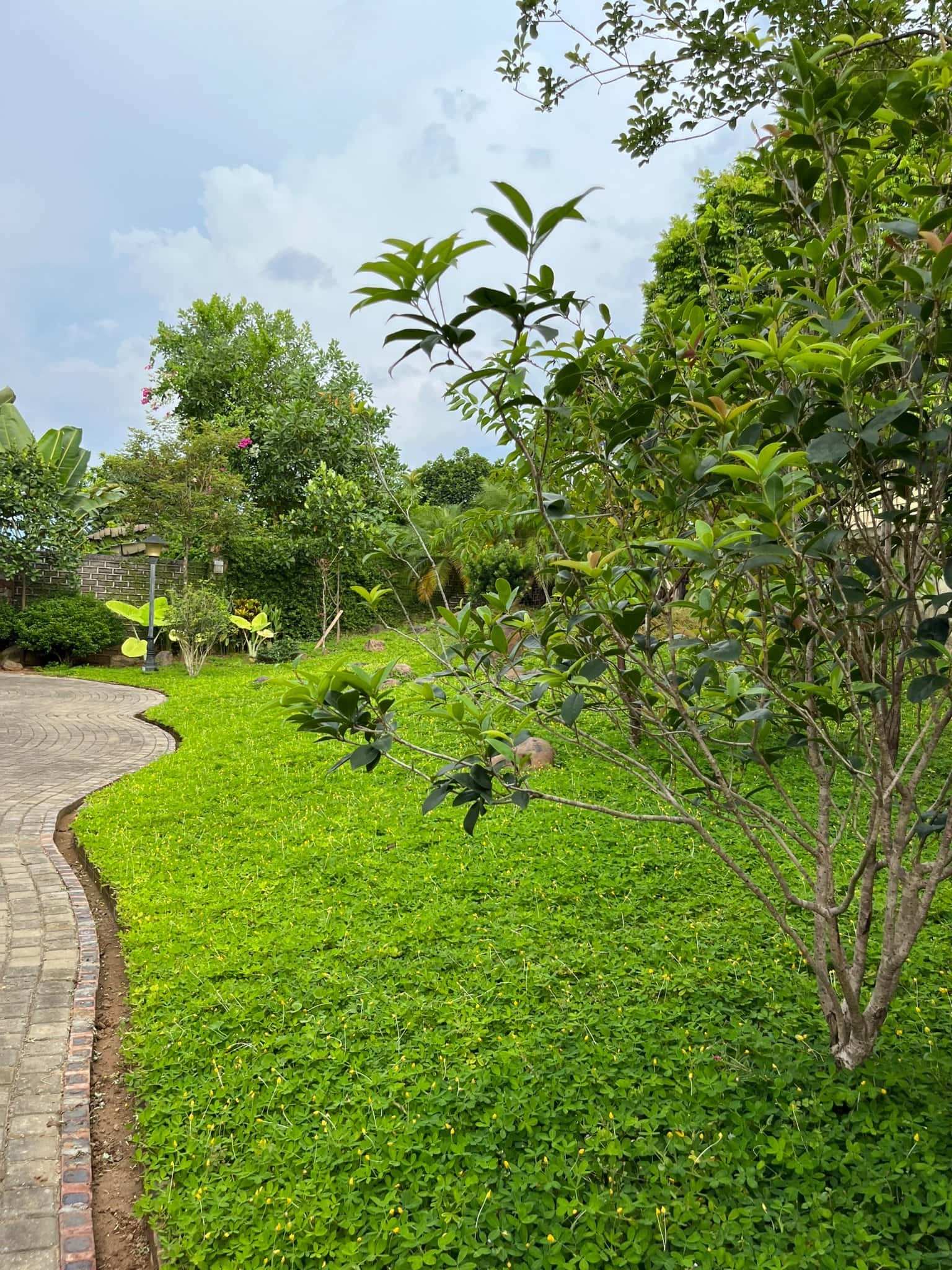 Green Hill Homestay tại Vân Hòa, Ba Vì — ảnh 21
