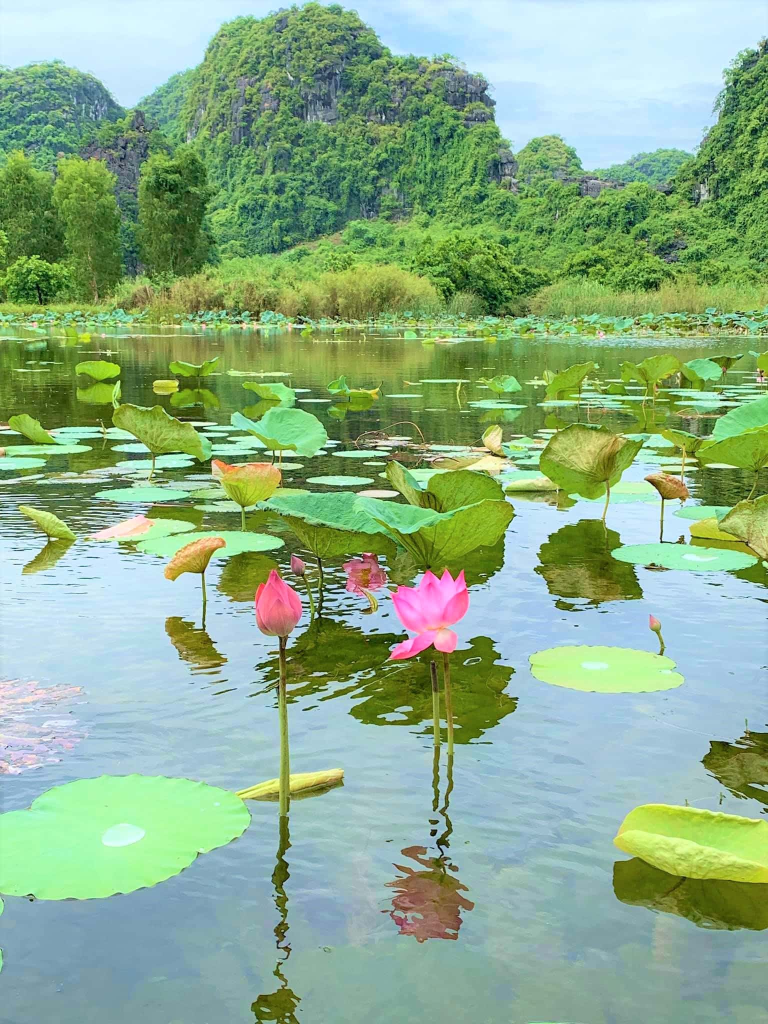 justfly thung nang ninh binh