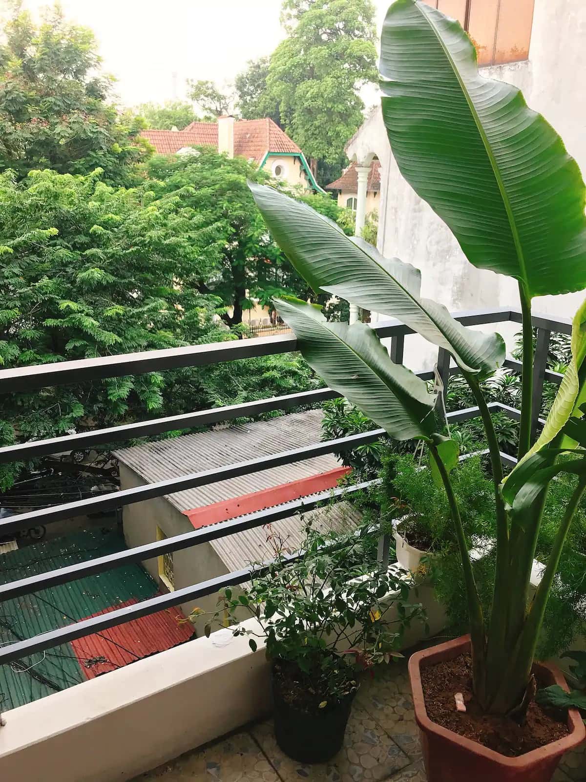 De HamLong, Hoàn Kiếm — photo 16