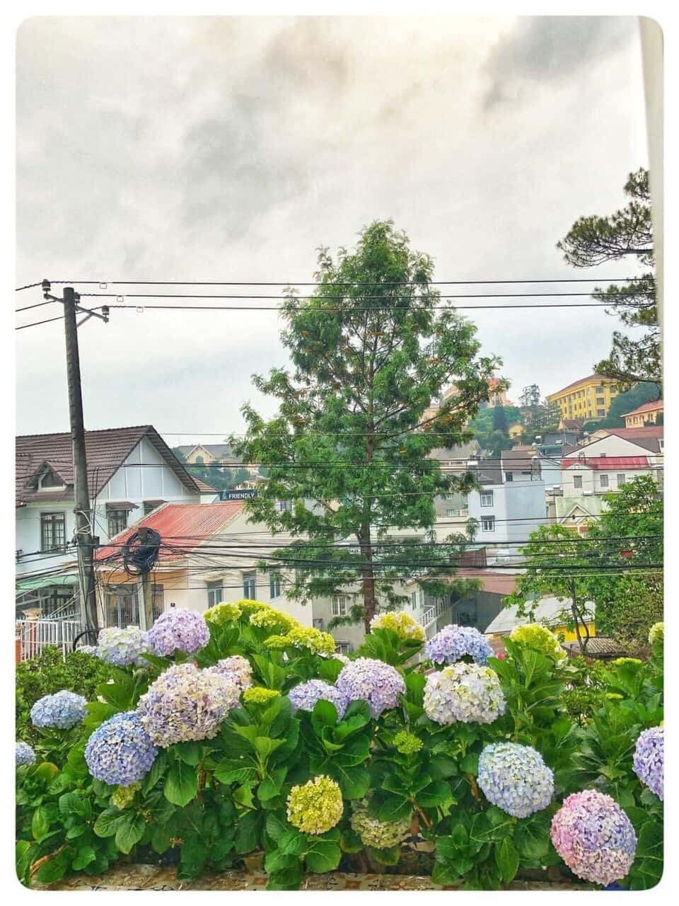 biet thu trang villa