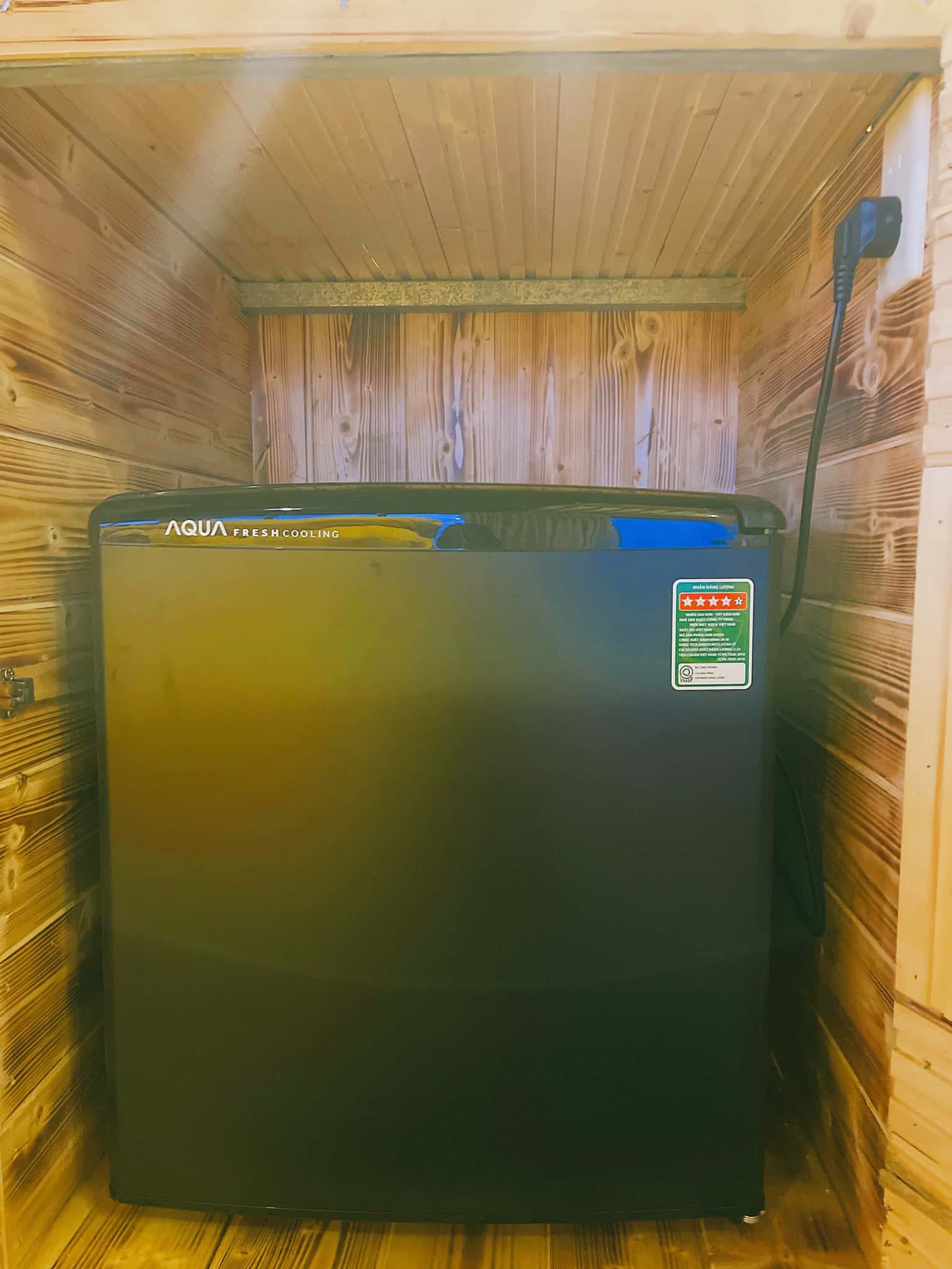 90s nha vua meo tam dao