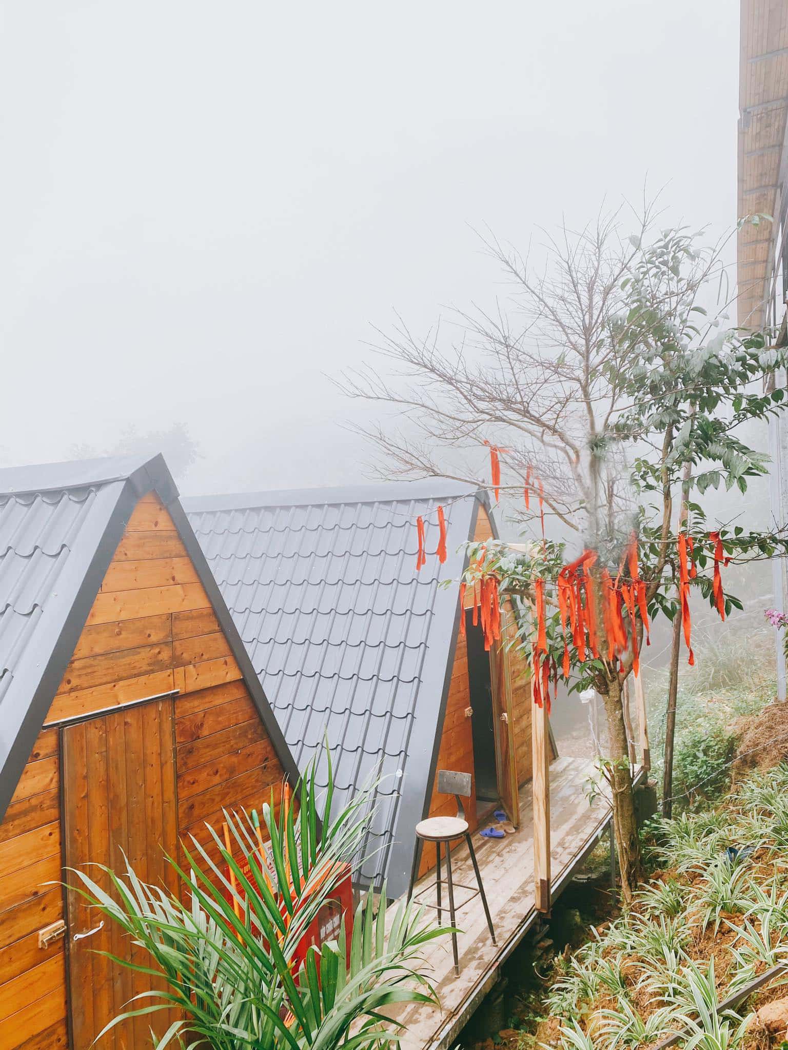 justfly hana kumochan homestay tam dao